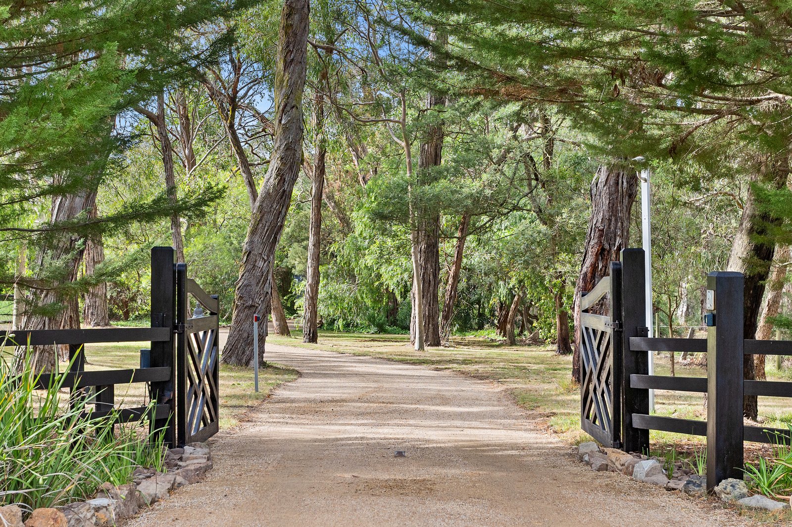 Gallery: 316 Stumpy Gully Road
