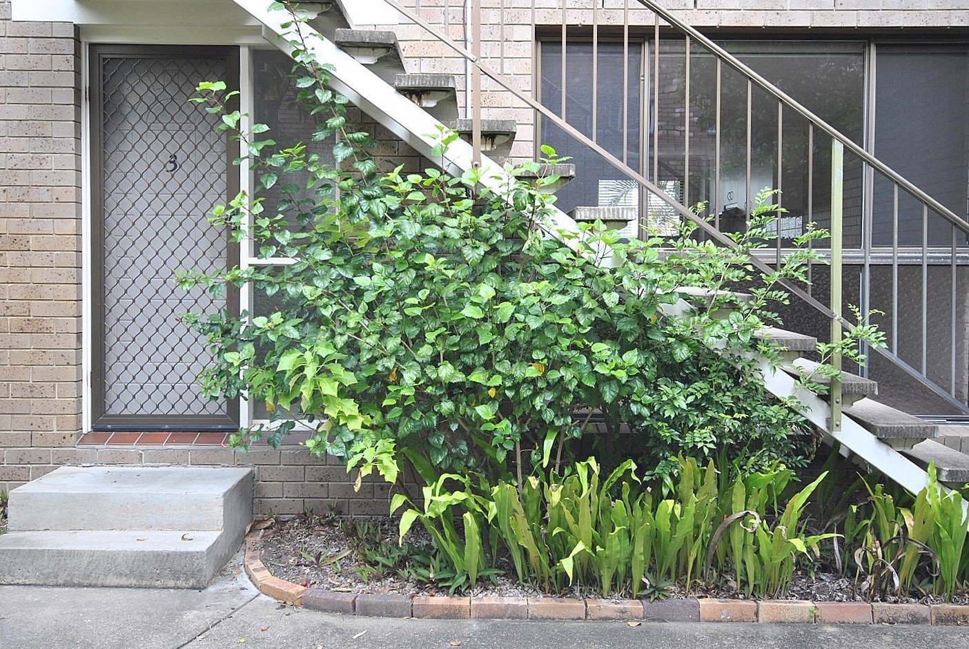 3/17 Huth Street LABRADOR 13