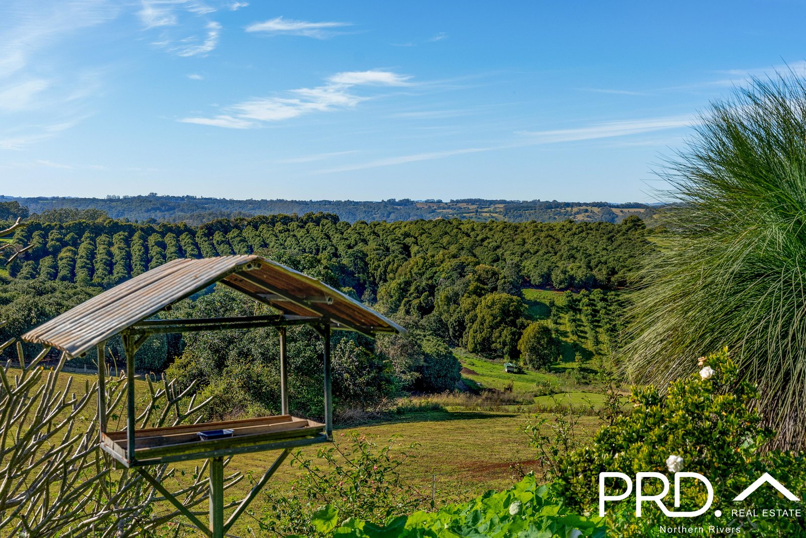 317 Koonorigan Road KOONORIGAN 6