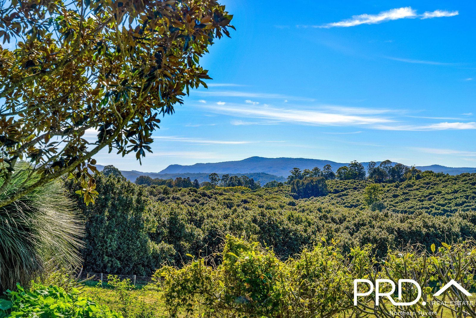 317 Koonorigan Road KOONORIGAN 7