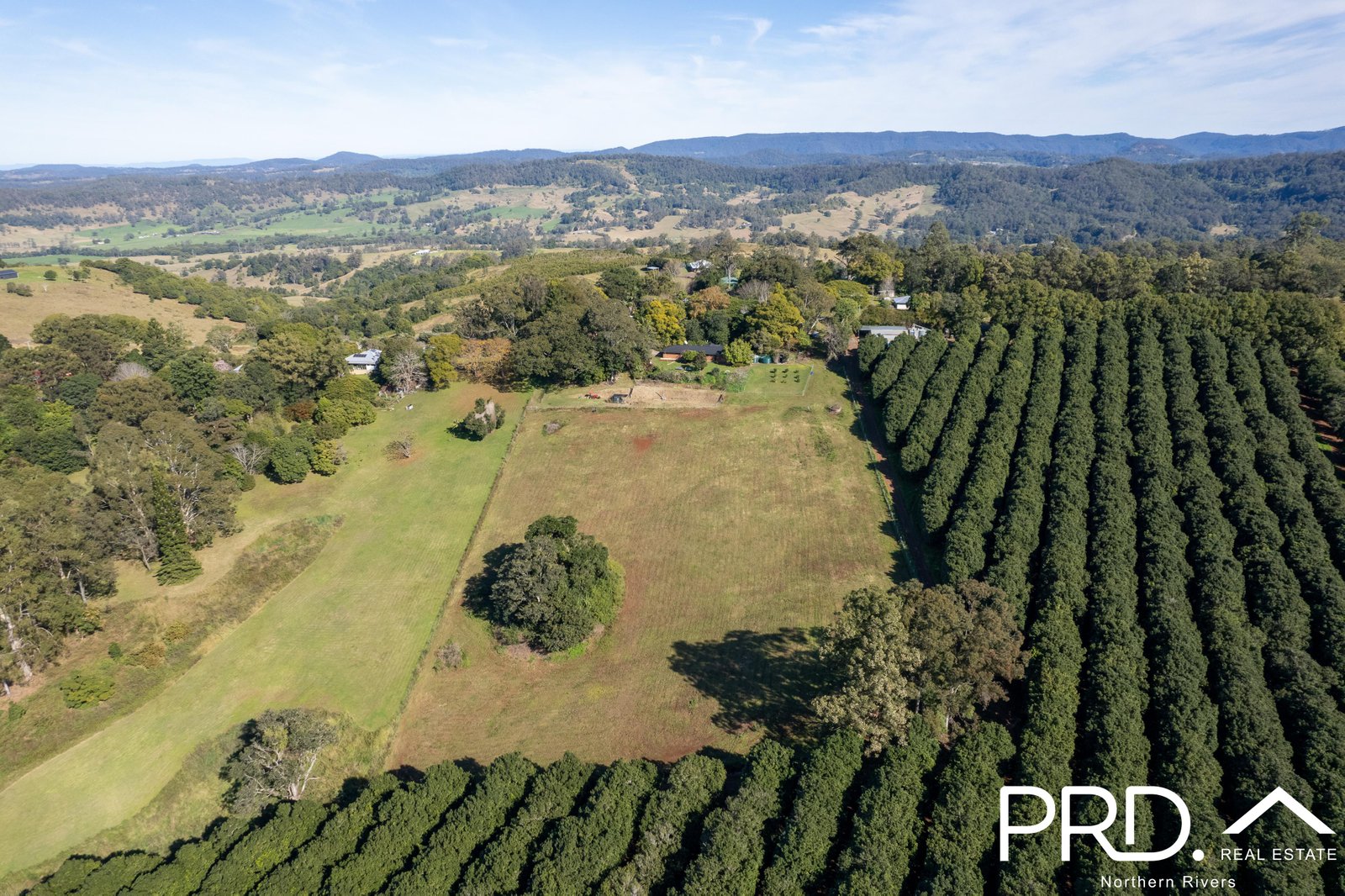 317 Koonorigan Road KOONORIGAN 8