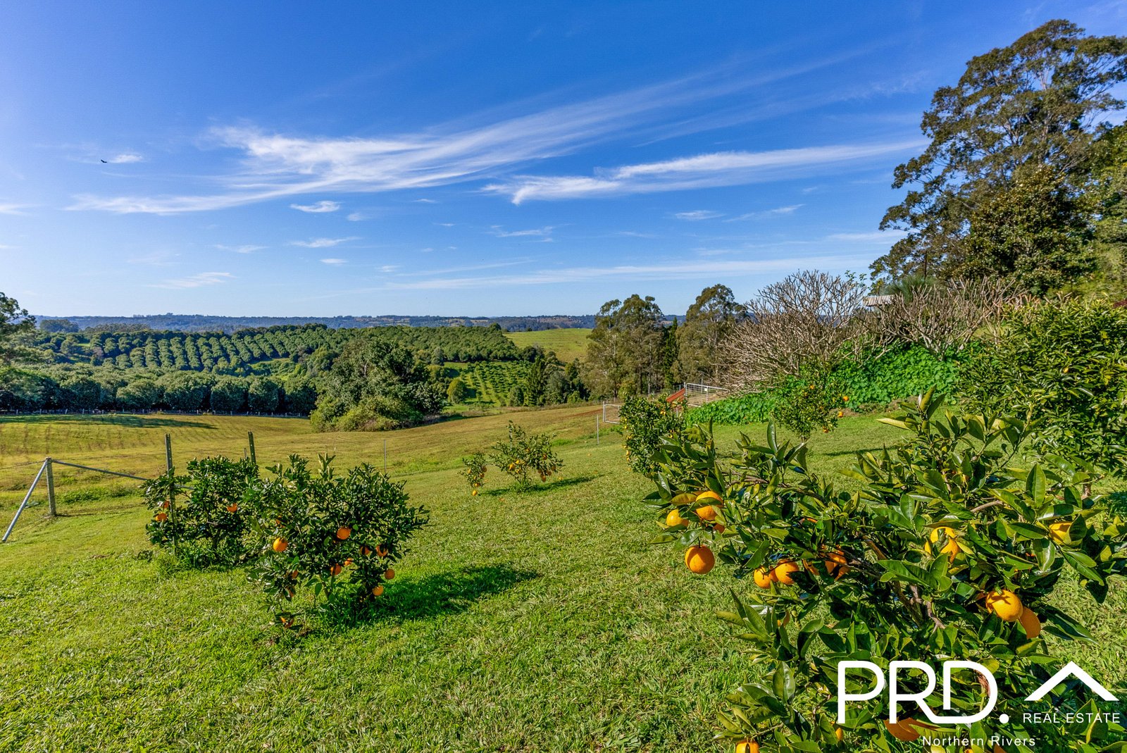 317 Koonorigan Road KOONORIGAN 10