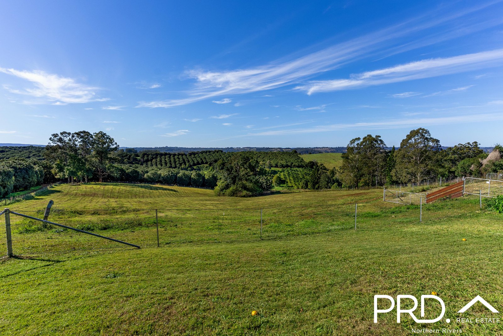 317 Koonorigan Road KOONORIGAN 29