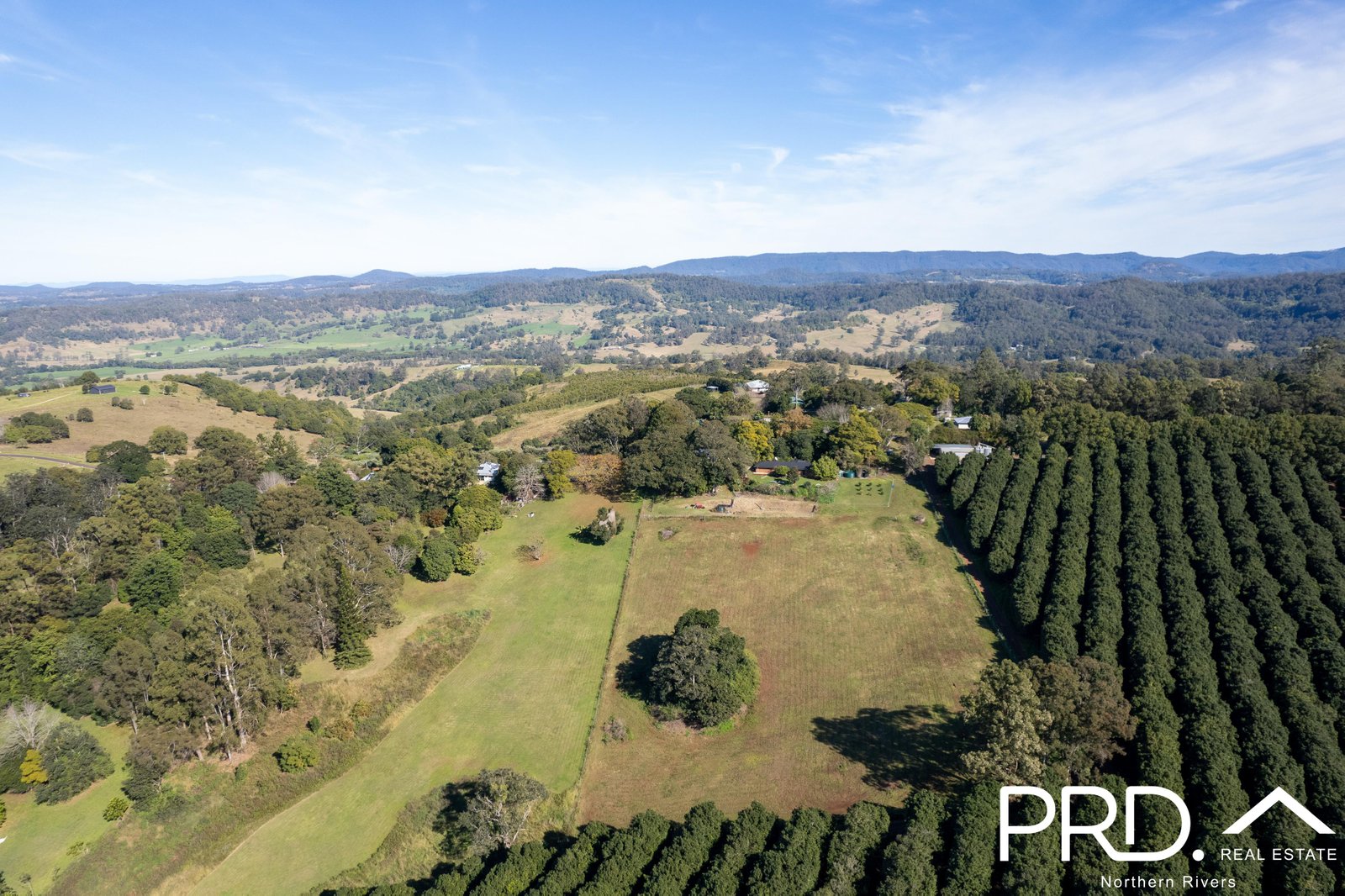 317 Koonorigan Road KOONORIGAN 31