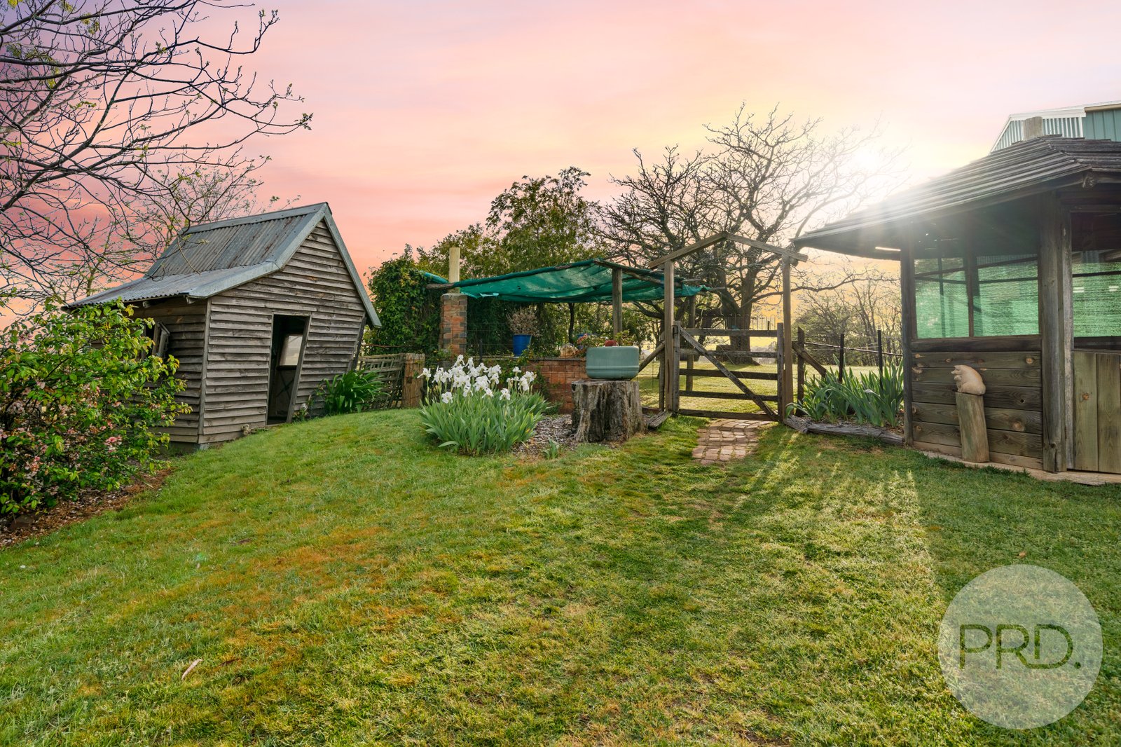 3174 Holbrook Road MANGOPLAH 20