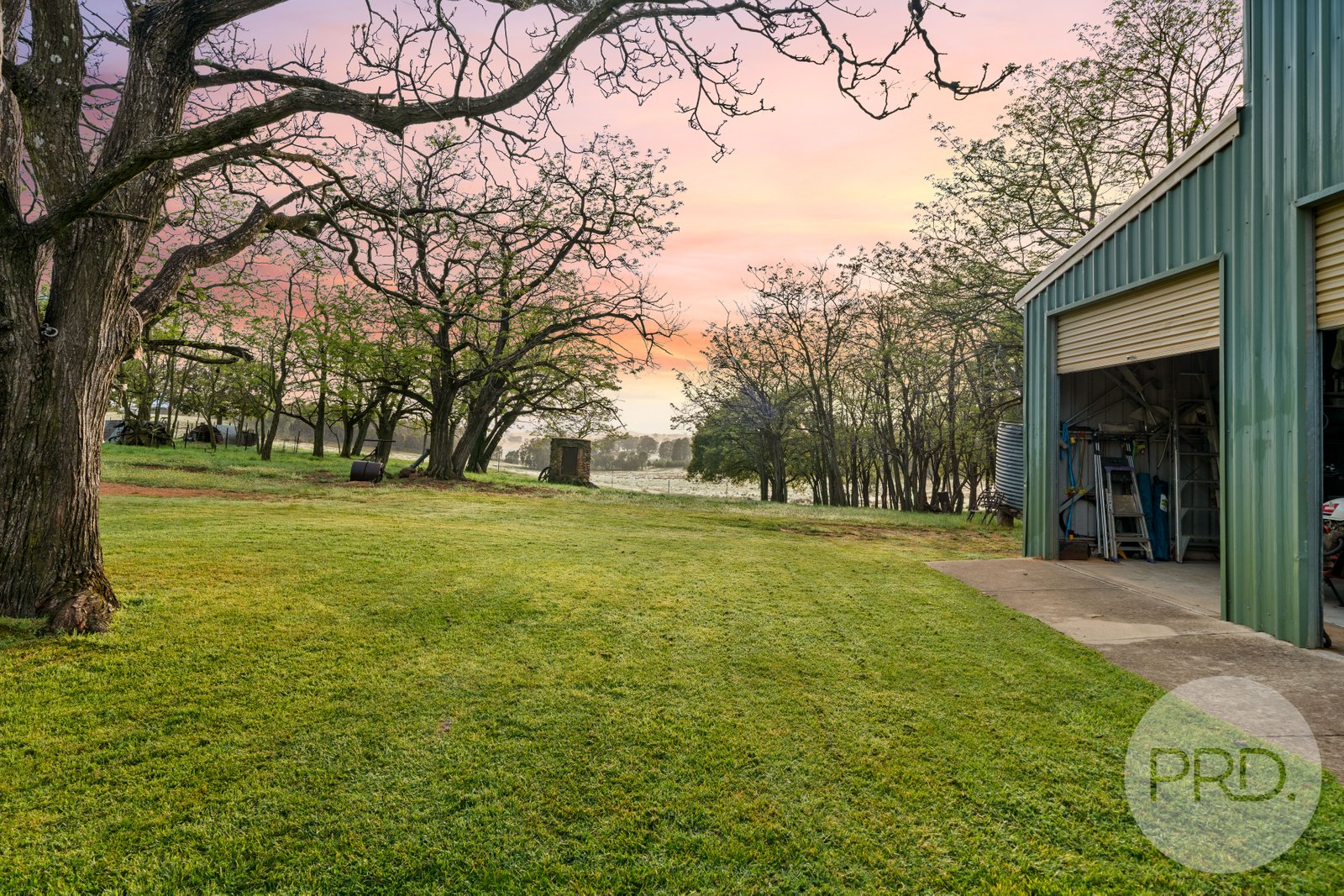 3174 Holbrook Road MANGOPLAH 22