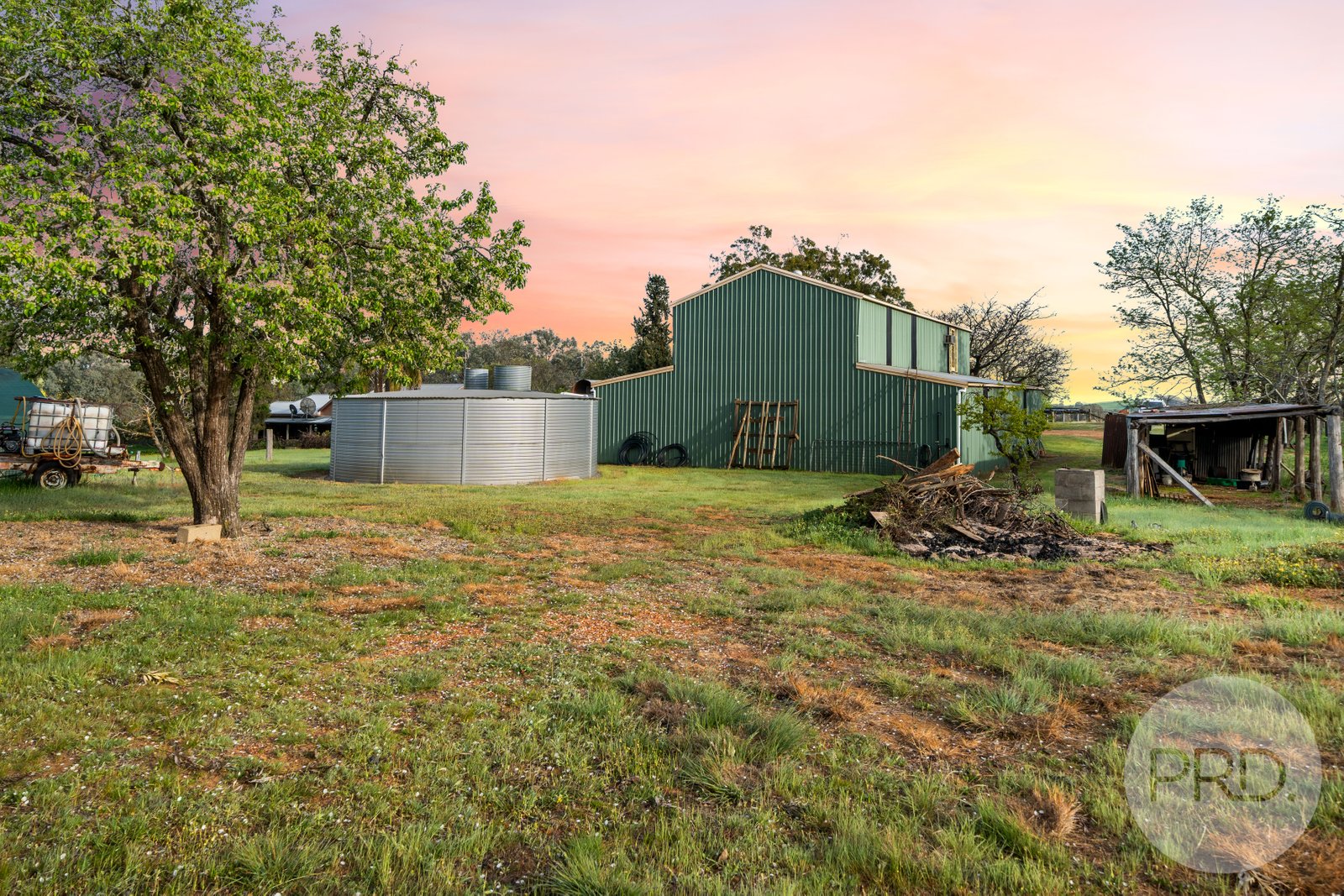 3174 Holbrook Road MANGOPLAH 26