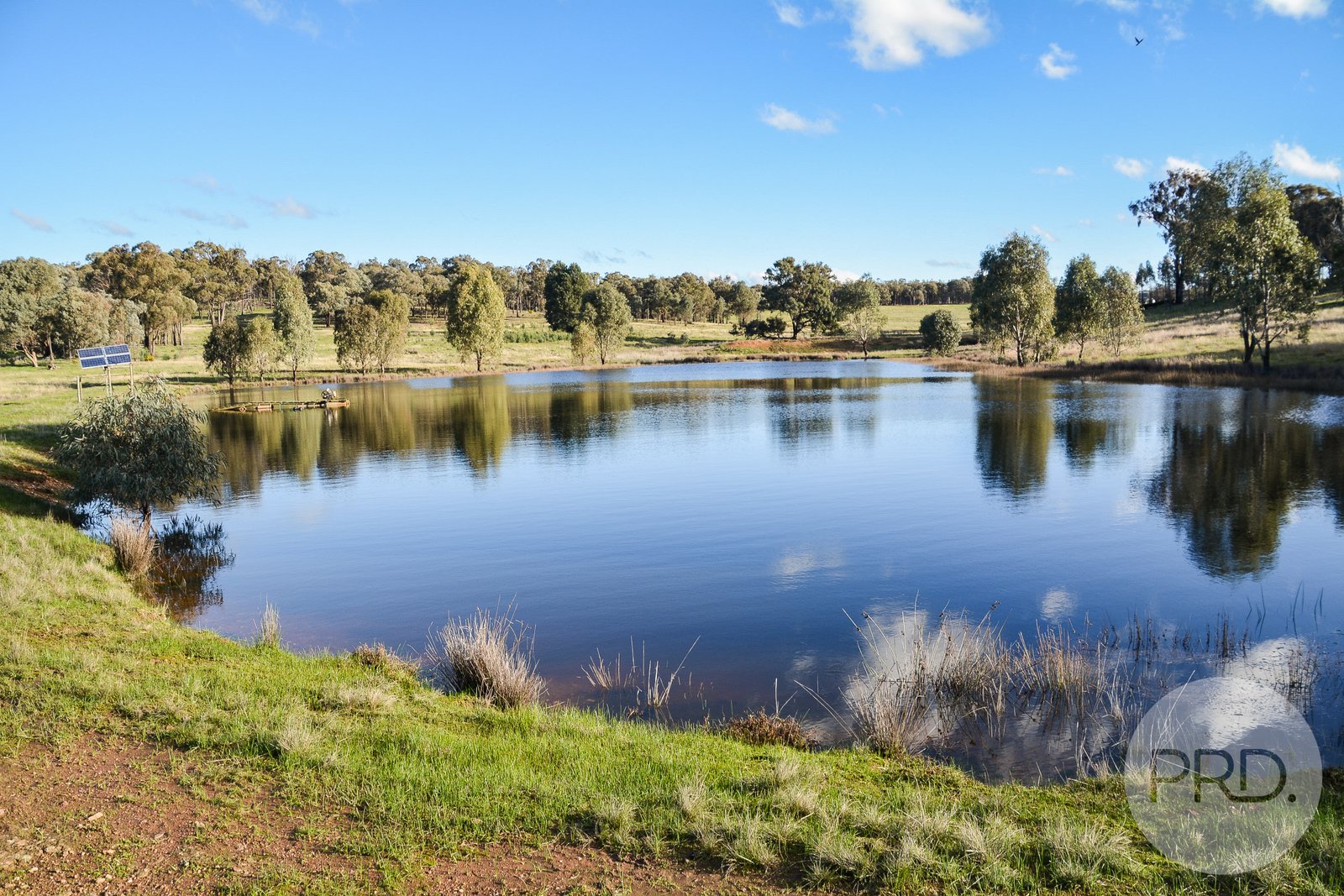 3174 Holbrook Road MANGOPLAH 33