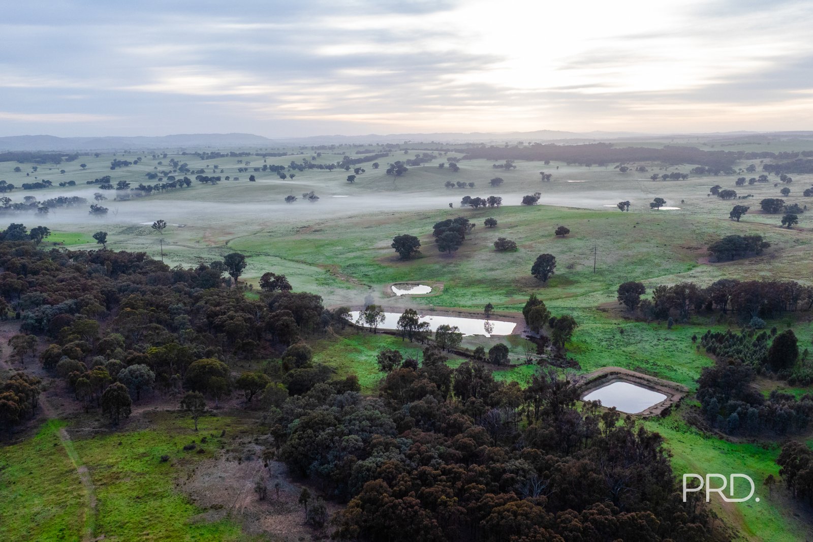 3174 Holbrook Road MANGOPLAH 34