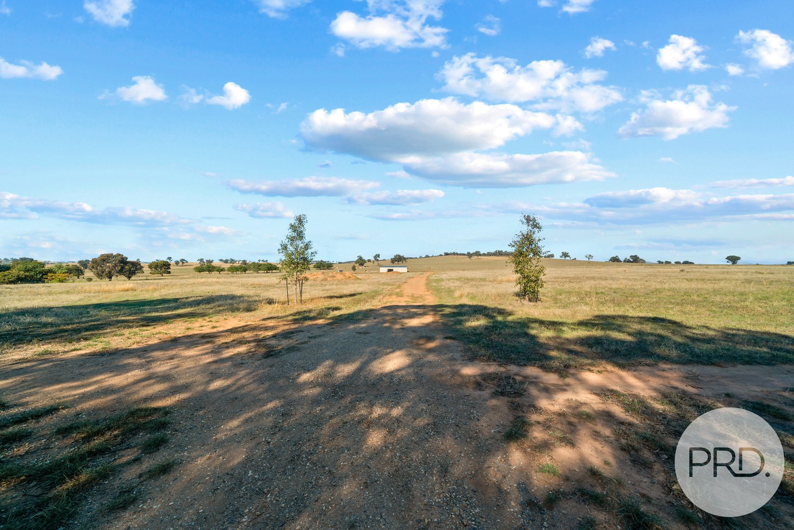 3185 Sturt Hwy  FOREST HILL 6