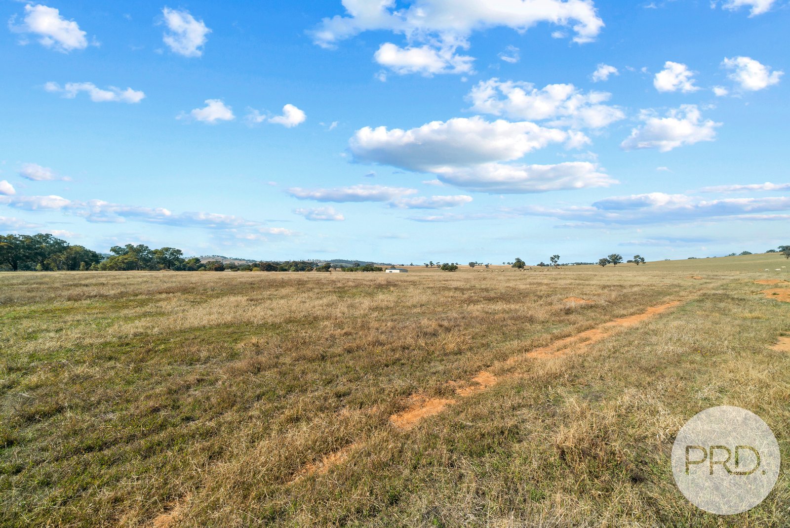 3185 Sturt Hwy  FOREST HILL 7