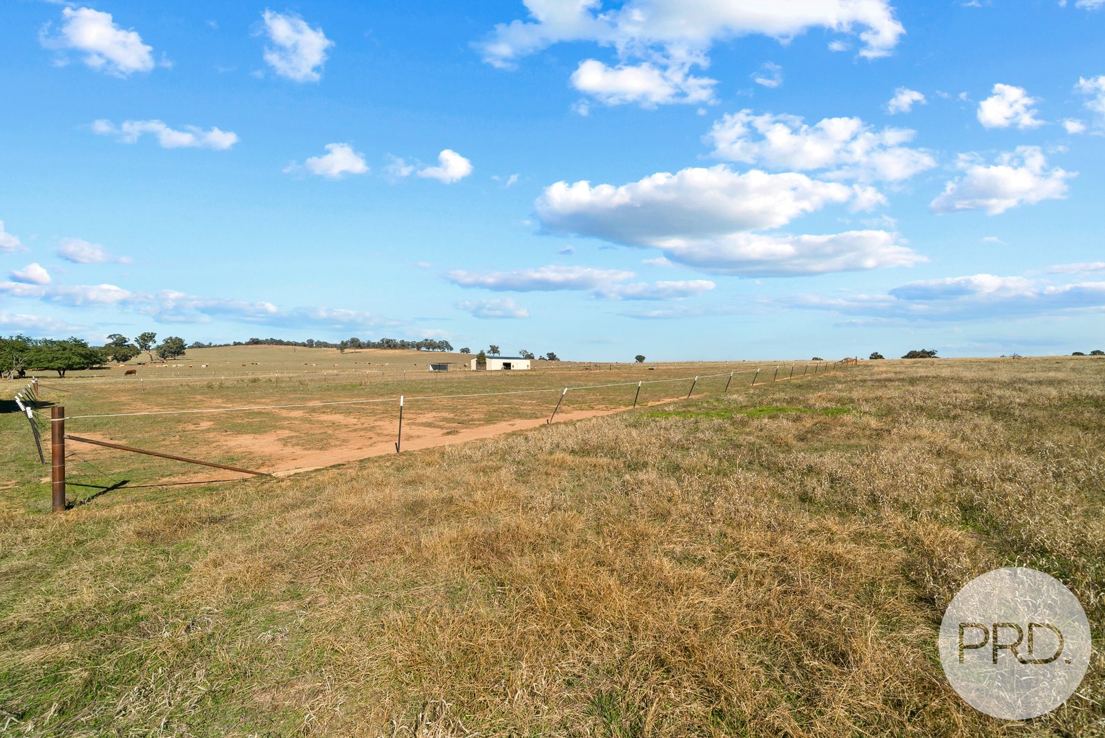 3185 Sturt Hwy  FOREST HILL 9