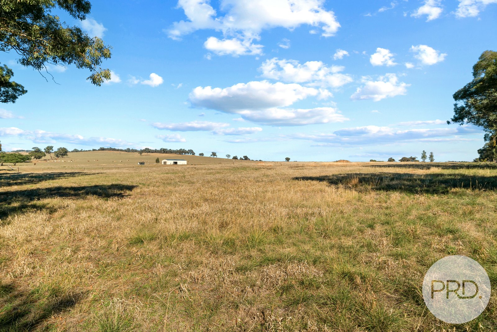 3185 Sturt Hwy  FOREST HILL 10