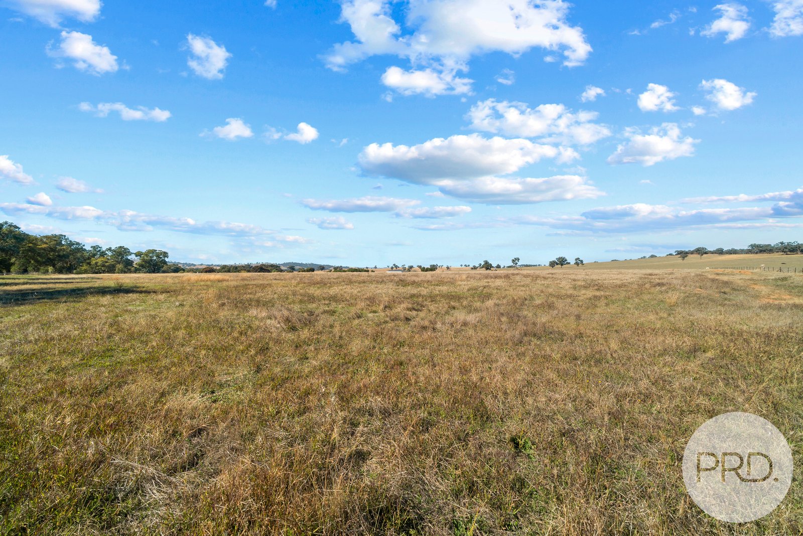 3185 Sturt Hwy  FOREST HILL 11