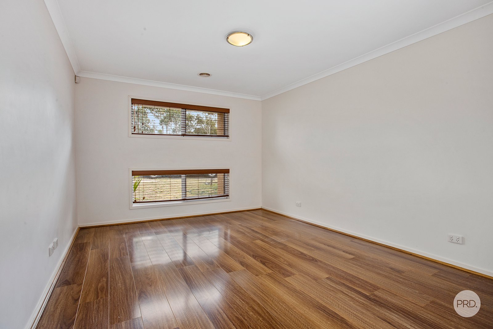 319 Howard Street JACKASS FLAT 5