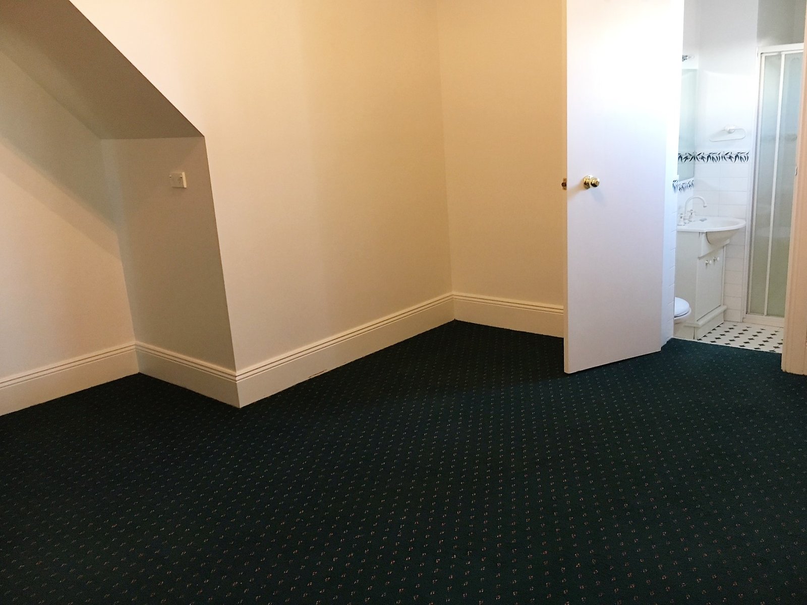 3/192 St Johns Road GLEBE 5