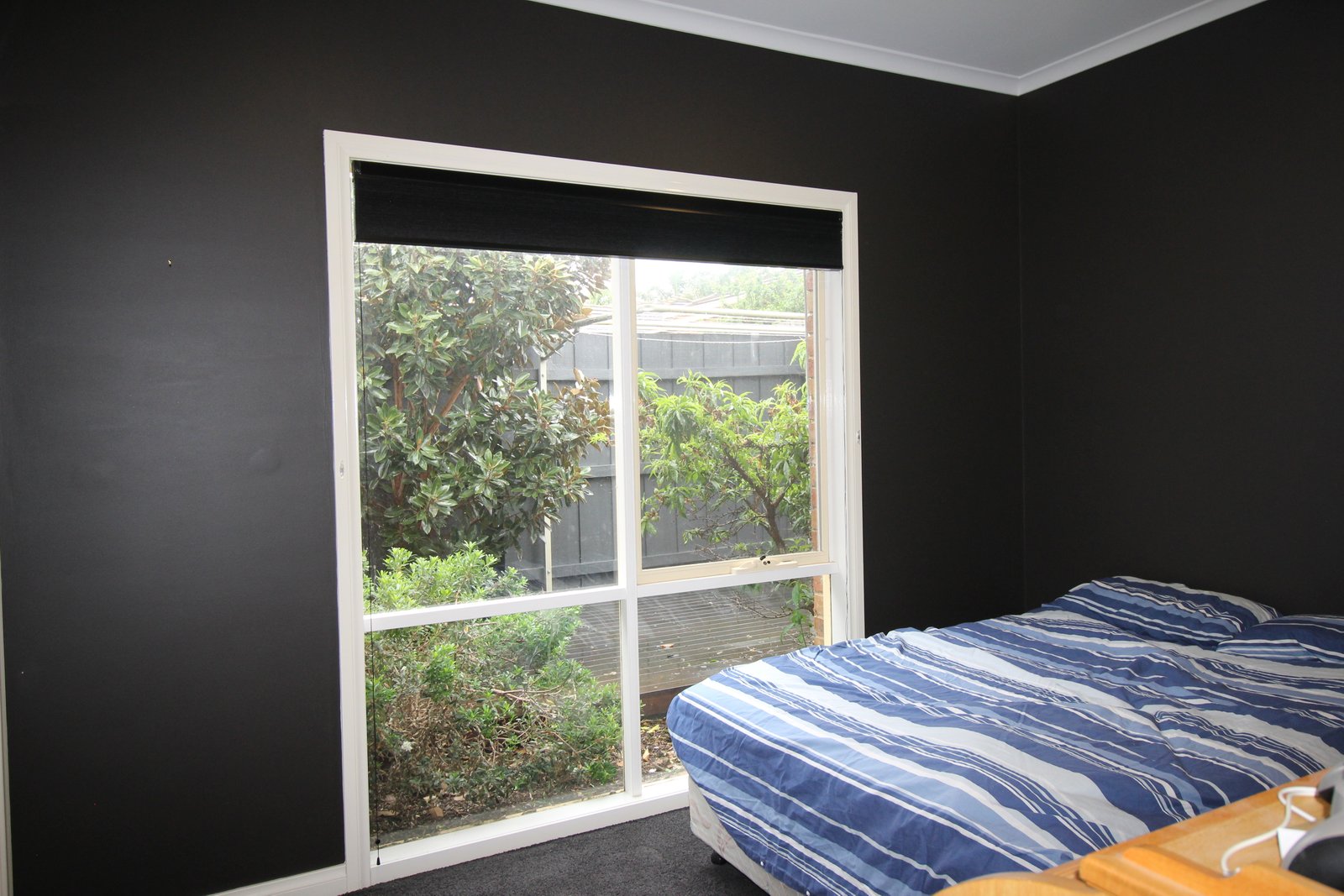 Gallery: 31a Matthieson Street