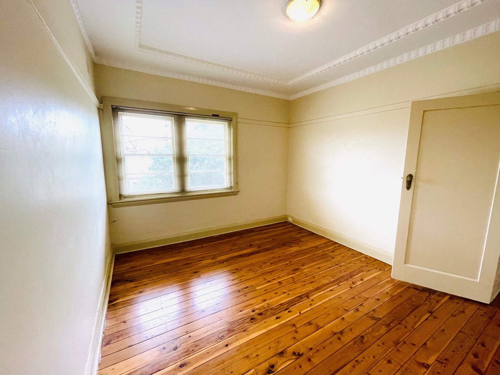 3/1A Short Street CARLTON 4