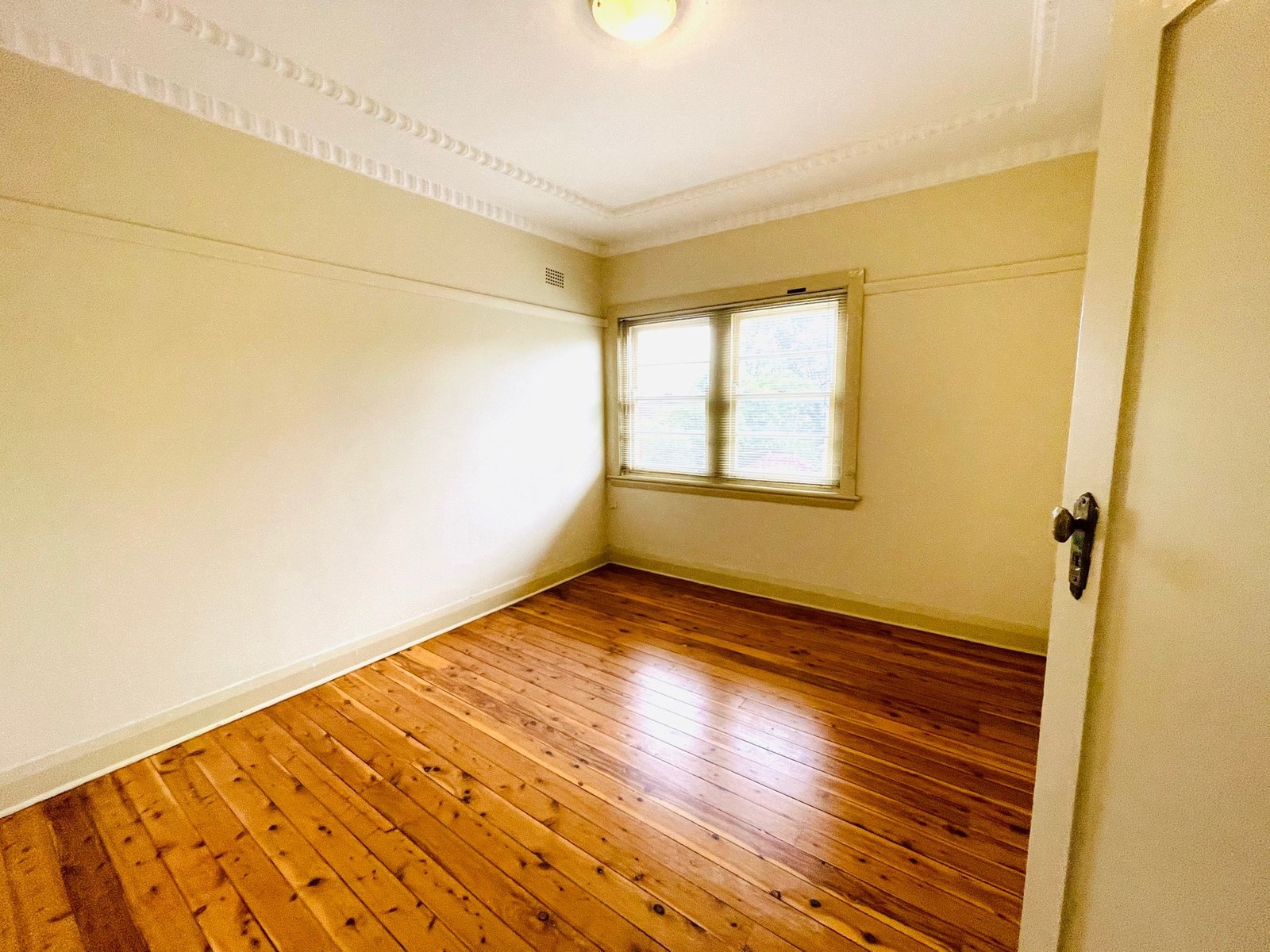 3/1A Short Street CARLTON 6