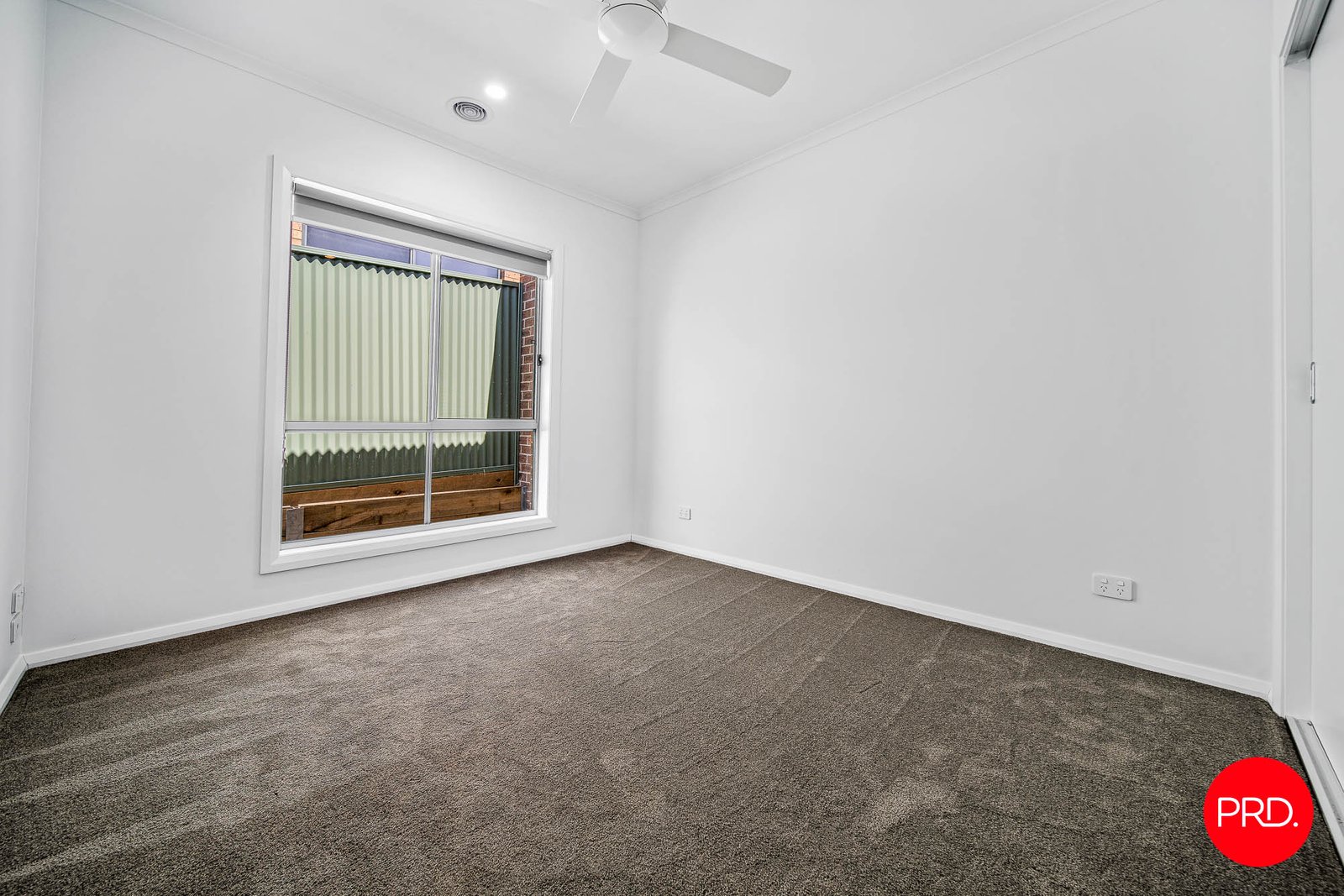 31b Rose Street CALIFORNIA GULLY 8