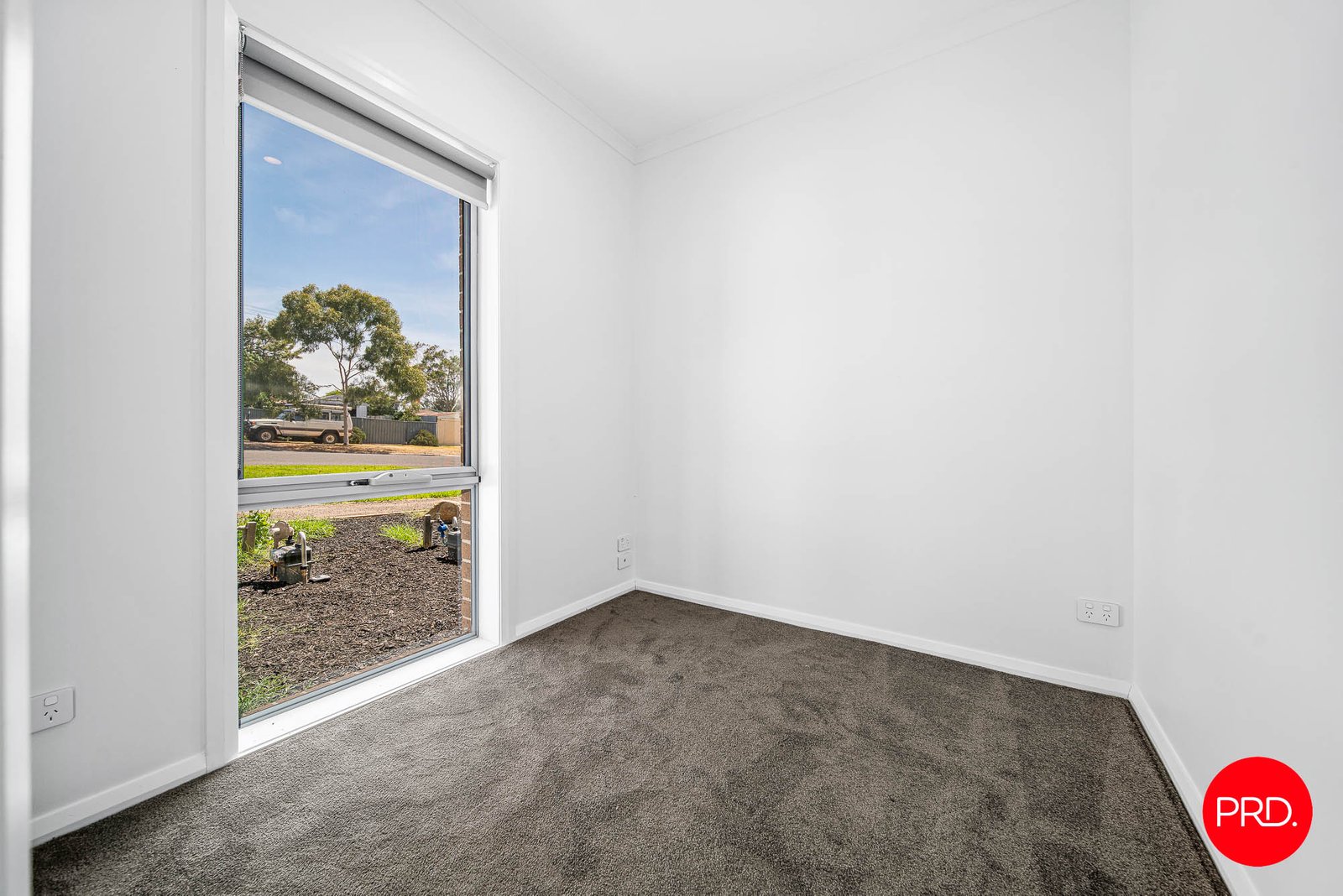 31b Rose Street CALIFORNIA GULLY 9