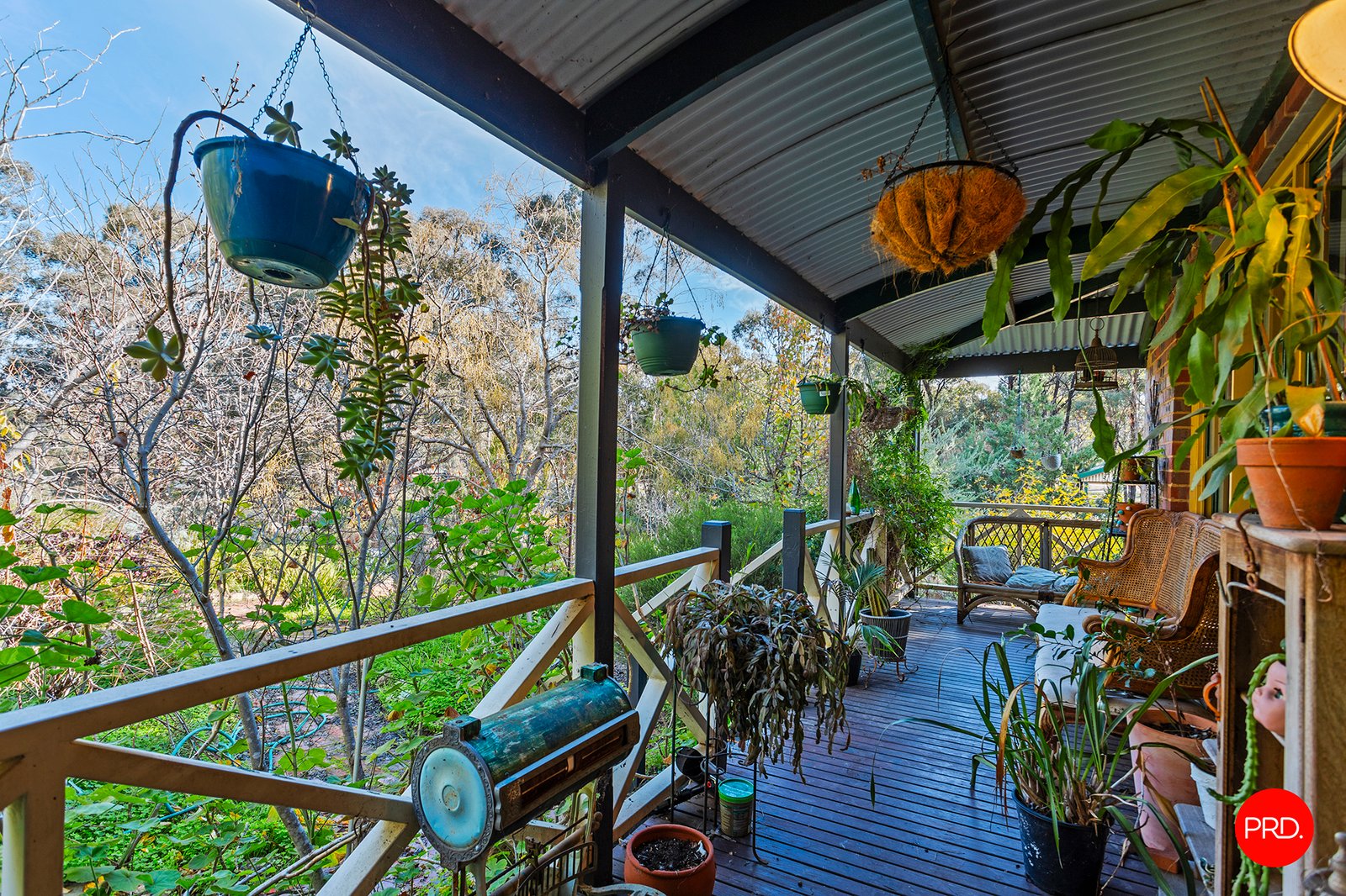 32-36 Crane Street WHITE HILLS 14