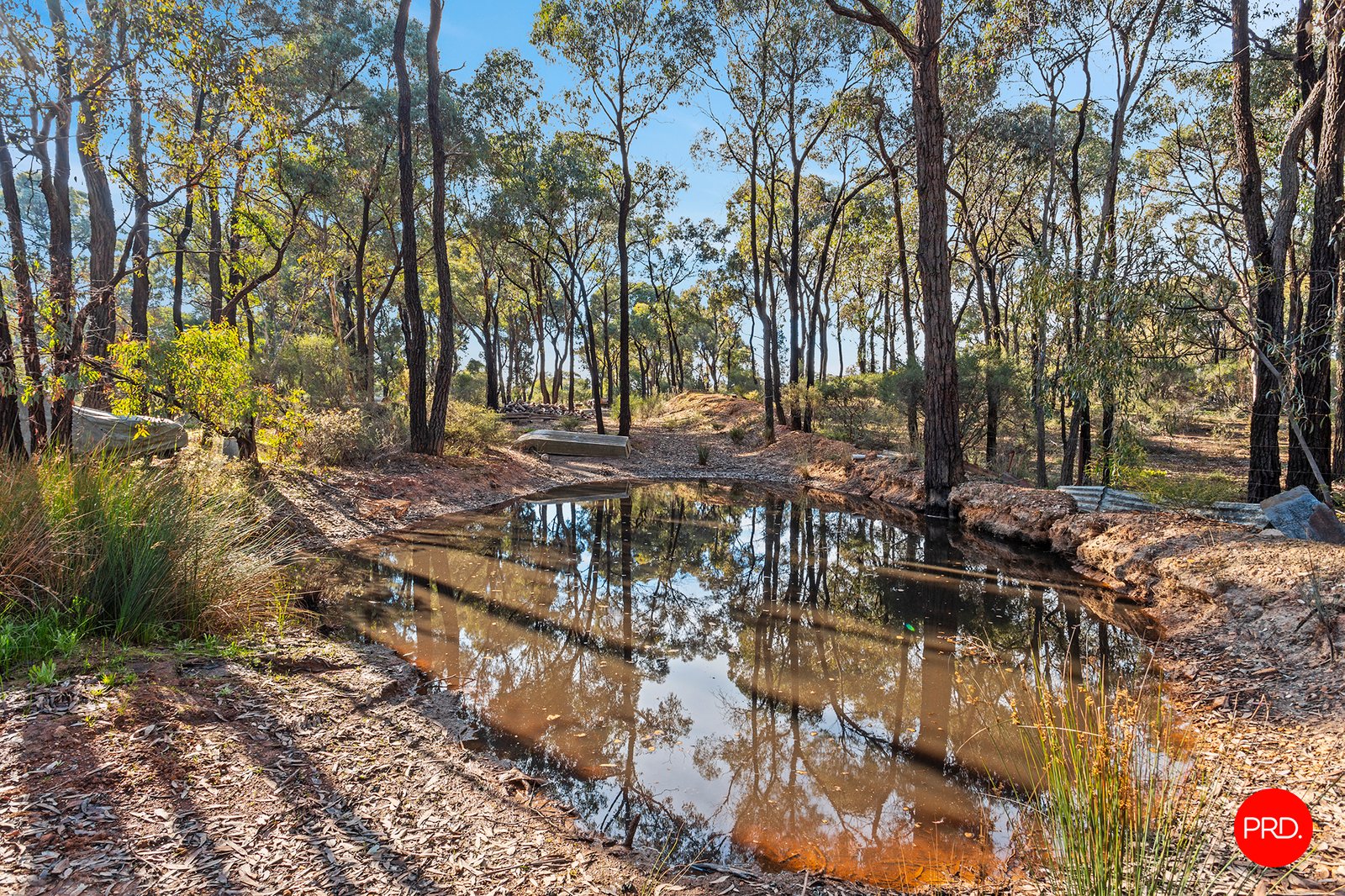 32-36 Crane Street WHITE HILLS 21