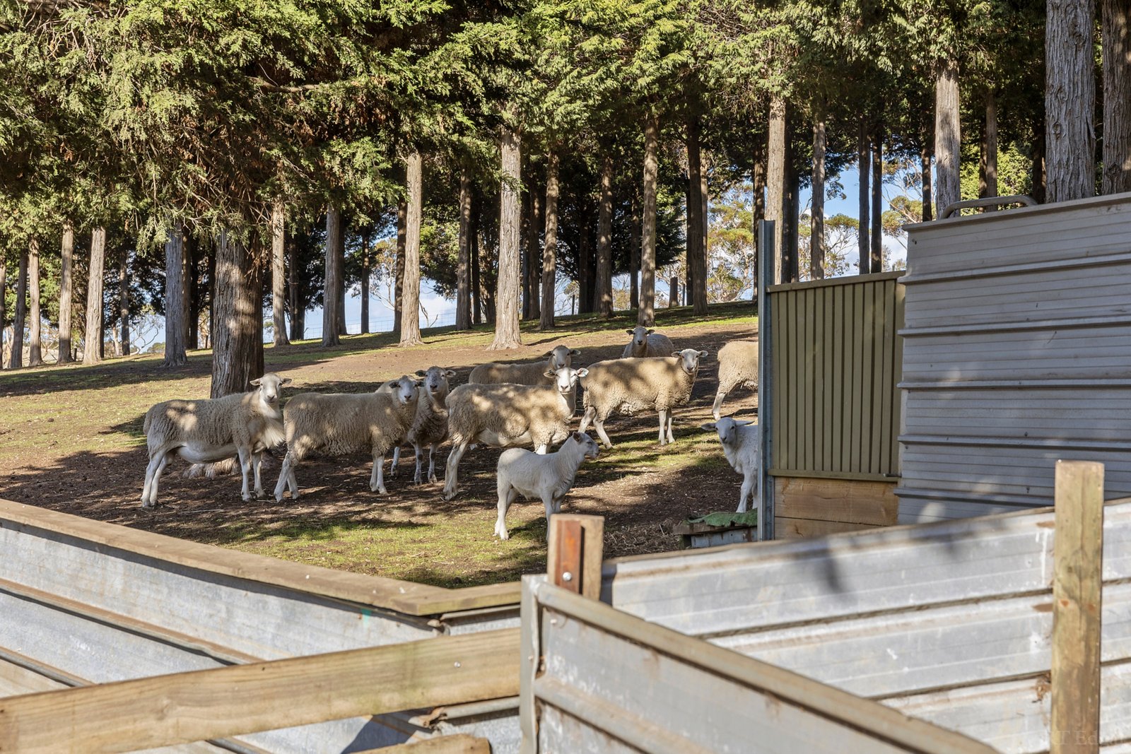 Real Estate and Property in 32-40 Scotchmans Road, Drysdale, VIC