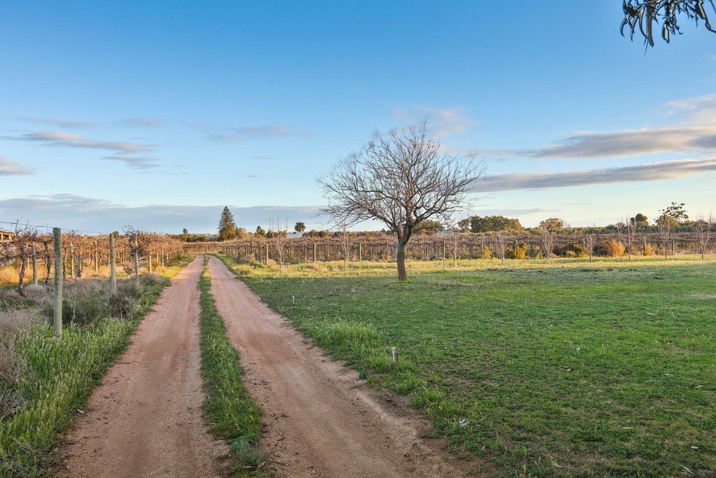 32 Cowanna Avenue YELTA 11