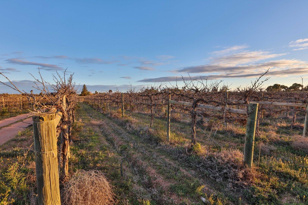 32 Cowanna Avenue YELTA 12