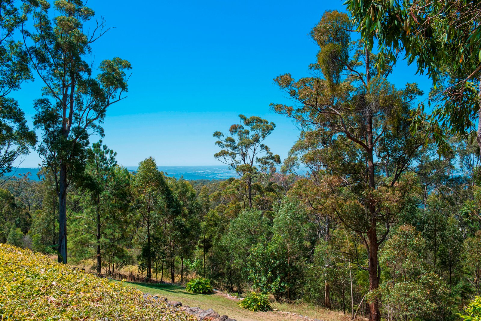 32 Eagles Retreat Place, Tamborine Mountain QLD 4272