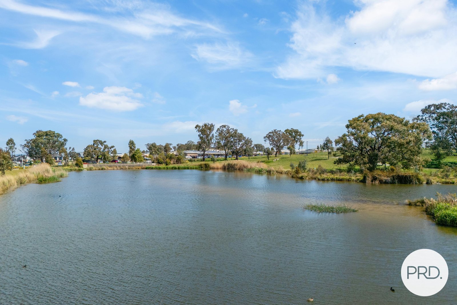 32 Everist Street TAYLOR 15