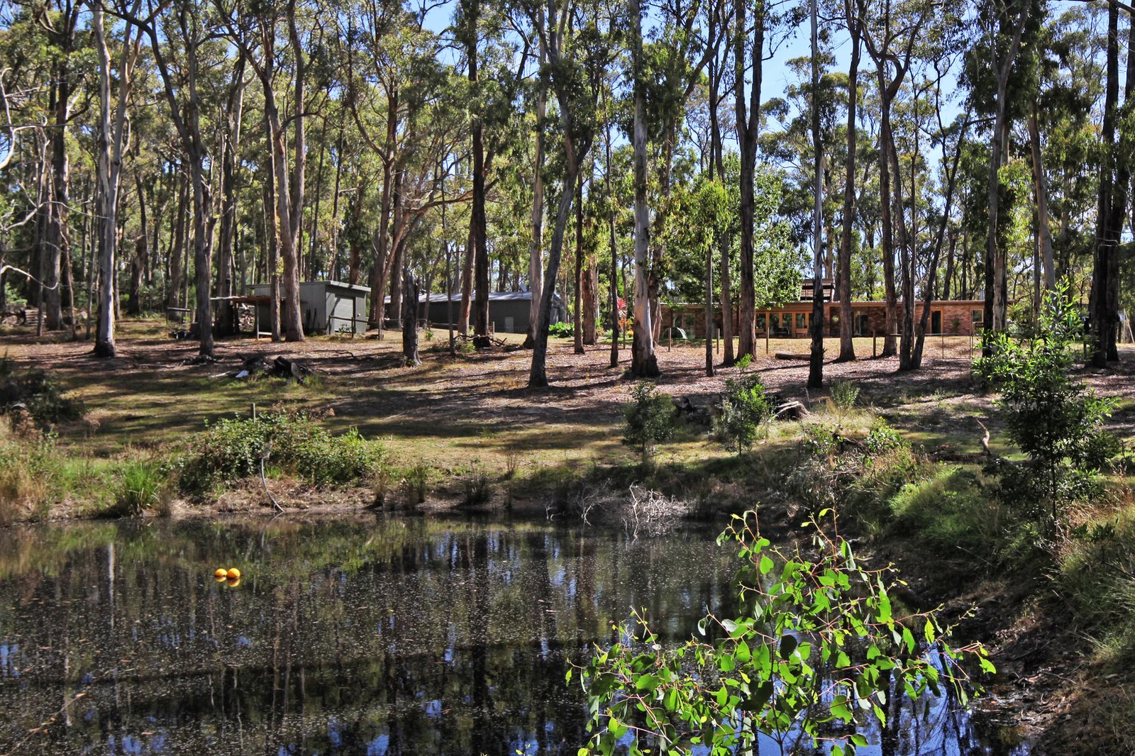 Real Estate and Property in 32 Harpers Road South, Woodend, VIC