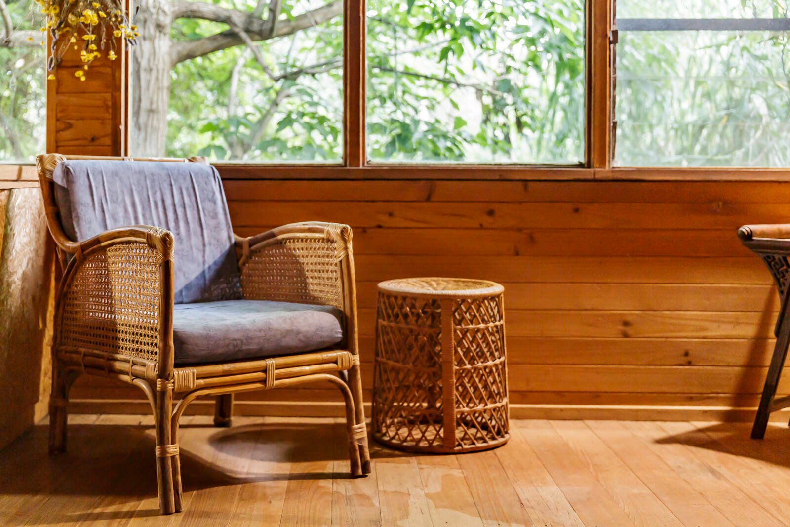 Real Estate and Property in 32 Jackson Avenue, Mont Albert North, VIC