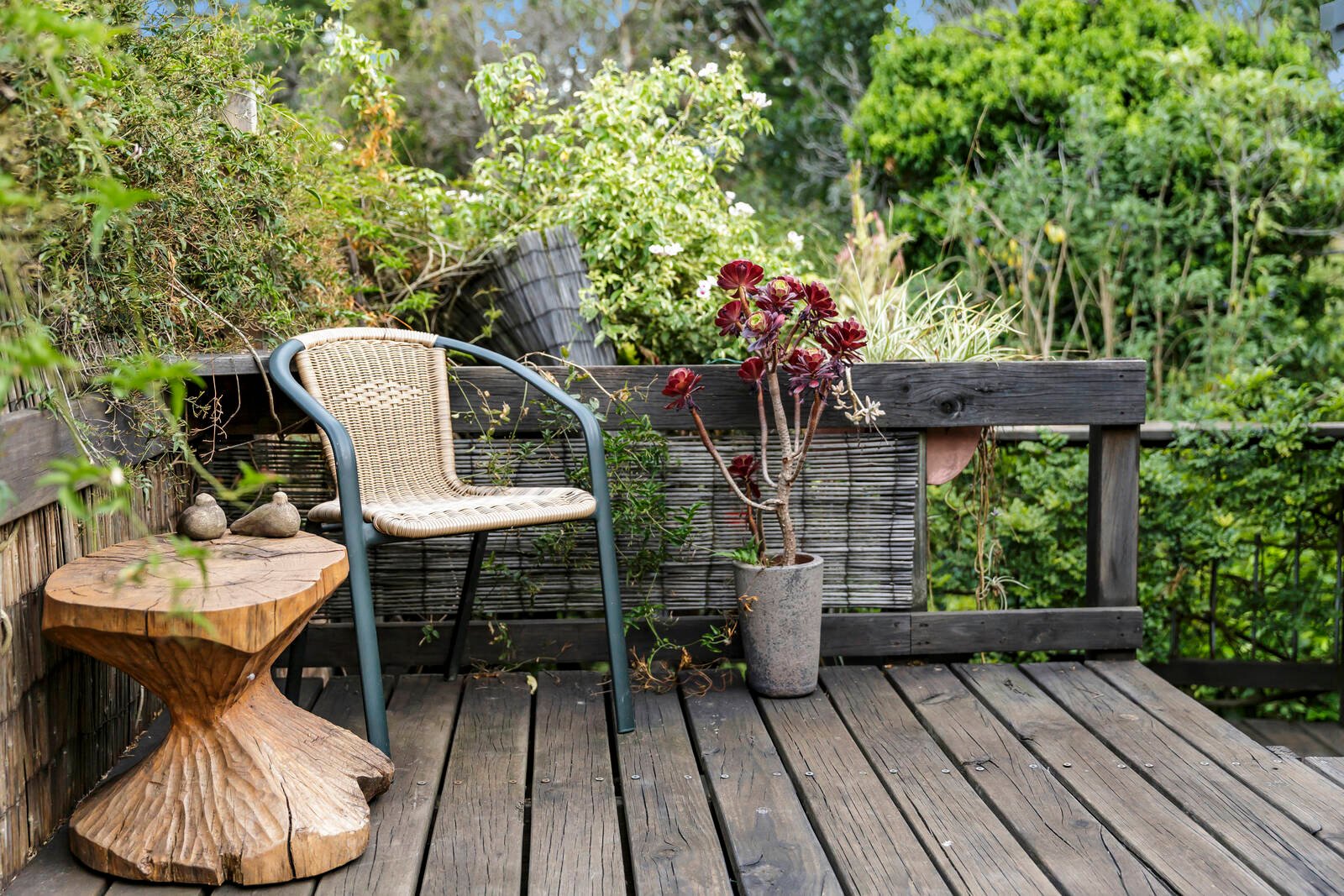 Real Estate and Property in 32 Jackson Avenue, Mont Albert North, VIC