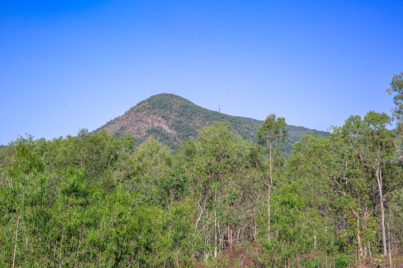 32 Mcgills Road KUTTABUL 31