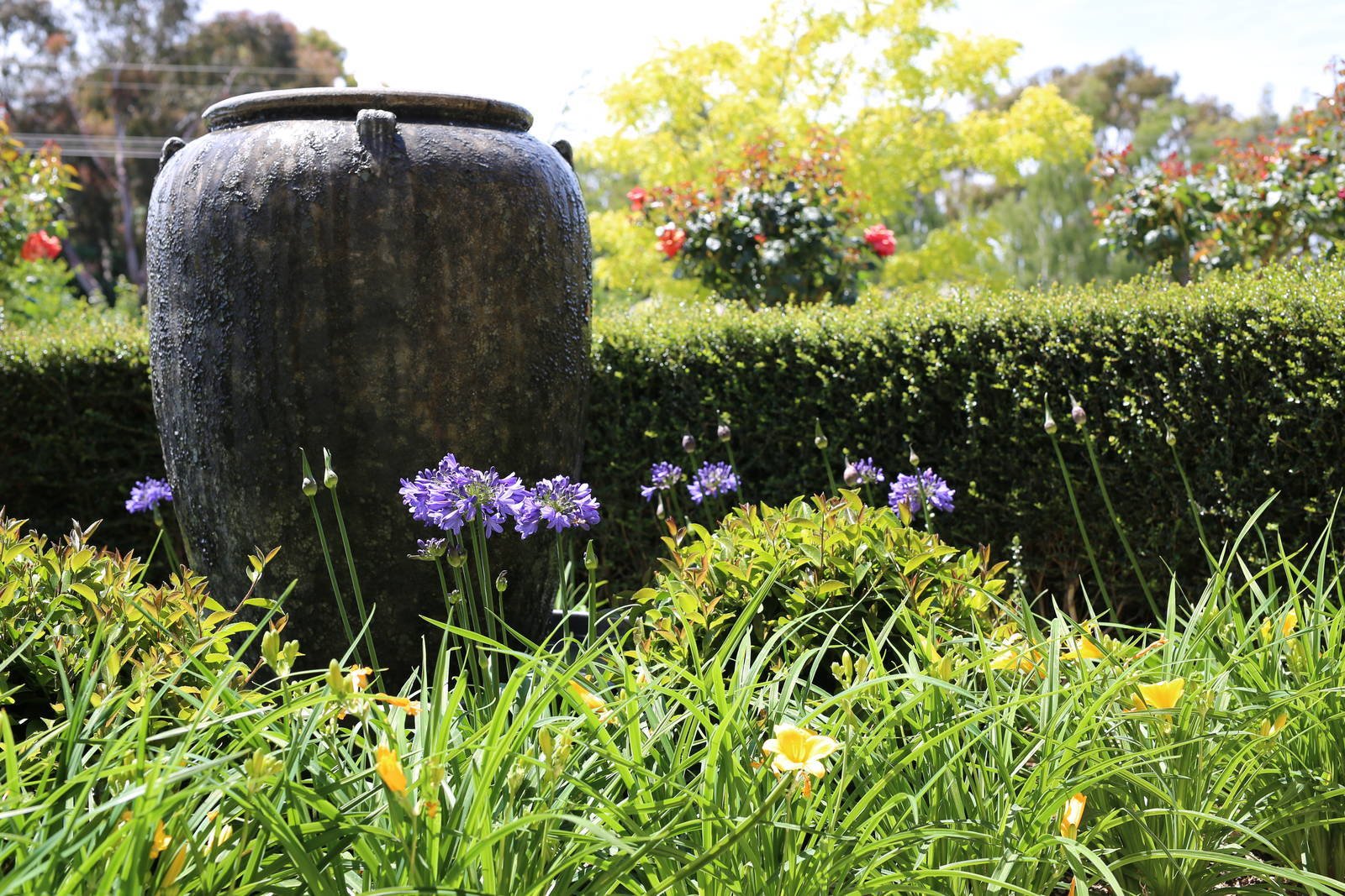 Real Estate and Property in 32 Metcalfe Drive, Romsey, VIC