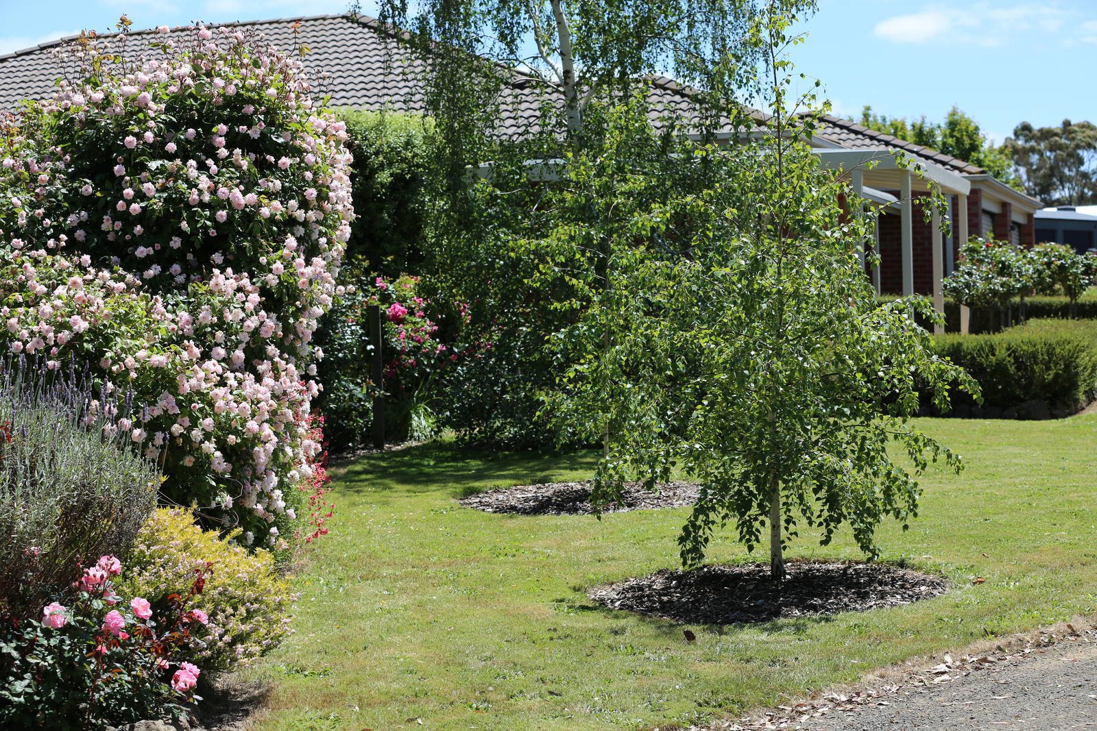 Real Estate and Property in 32 Metcalfe Drive, Romsey, VIC