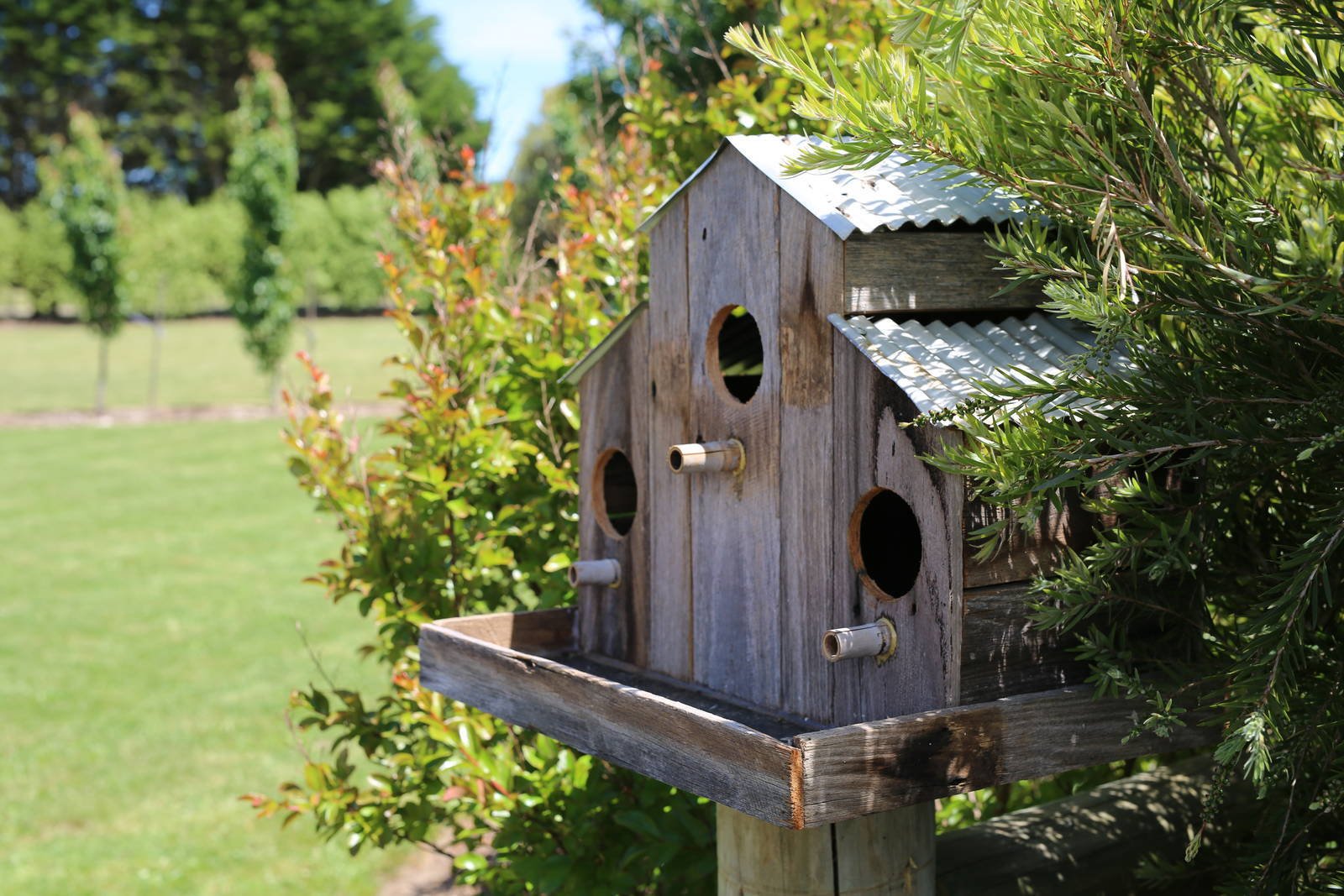 Real Estate and Property in 32 Metcalfe Drive, Romsey, VIC