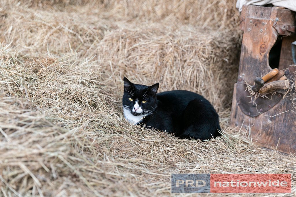 32 Miners Rest Road MINERS REST 11