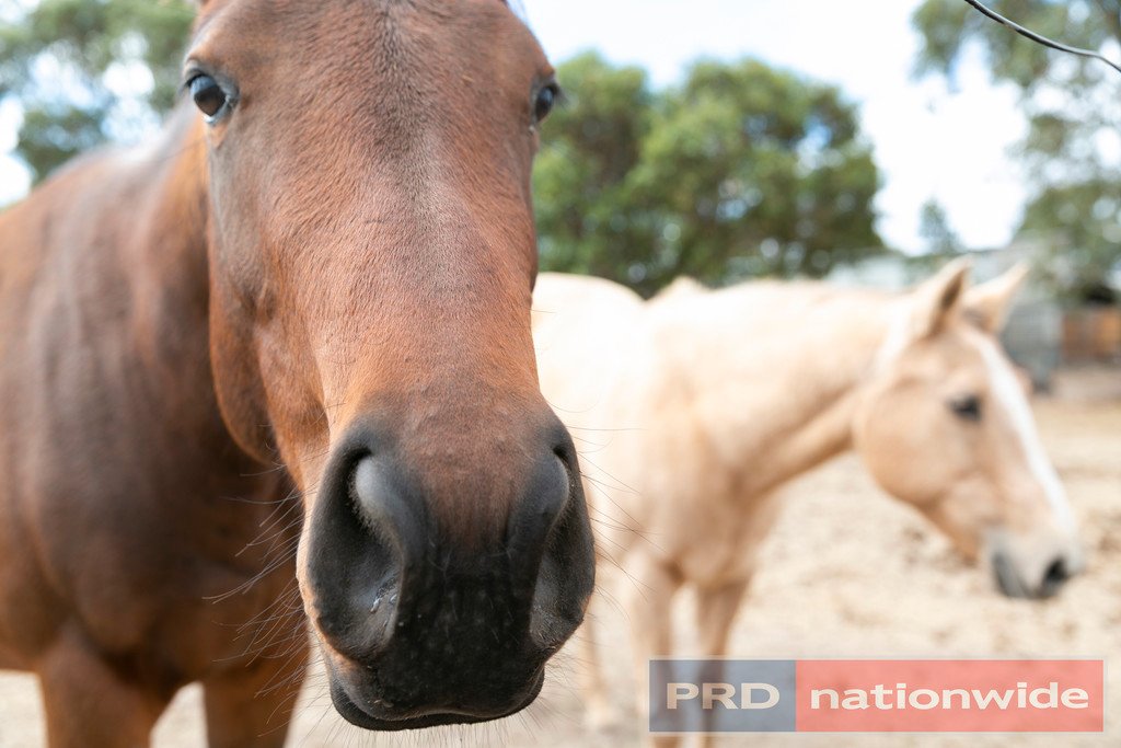 32 Miners Rest Road MINERS REST 13