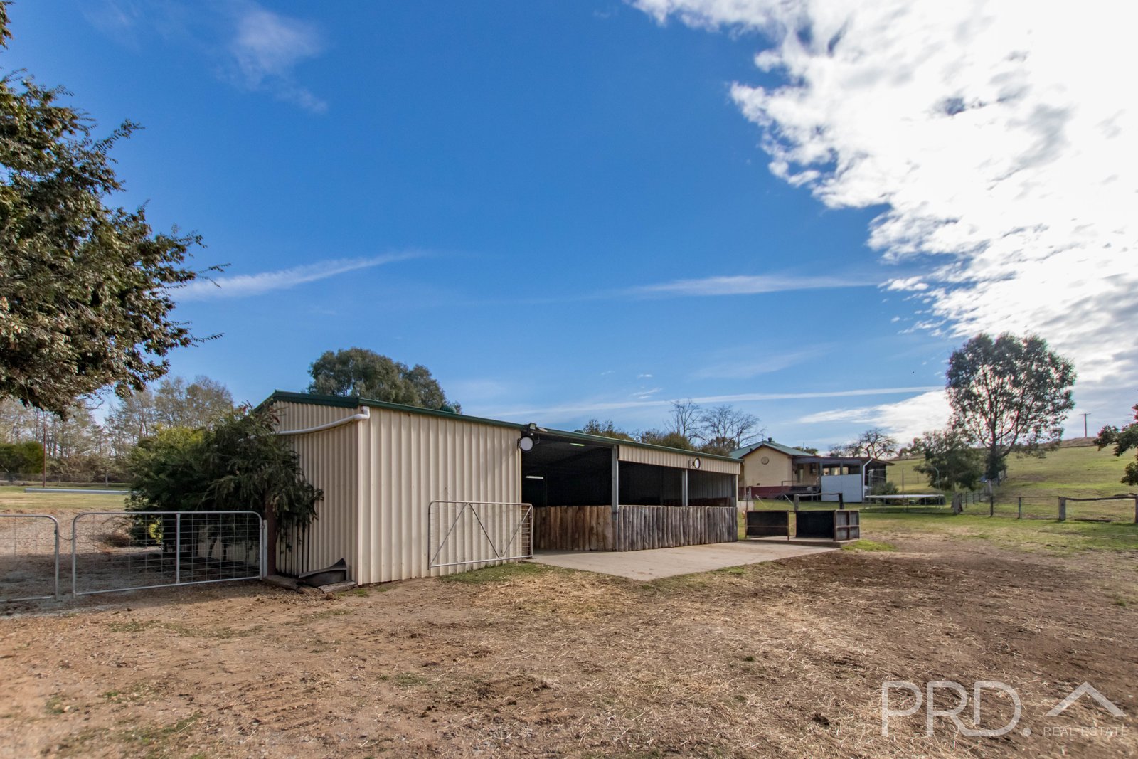 32 Quartz Street ADELONG 20