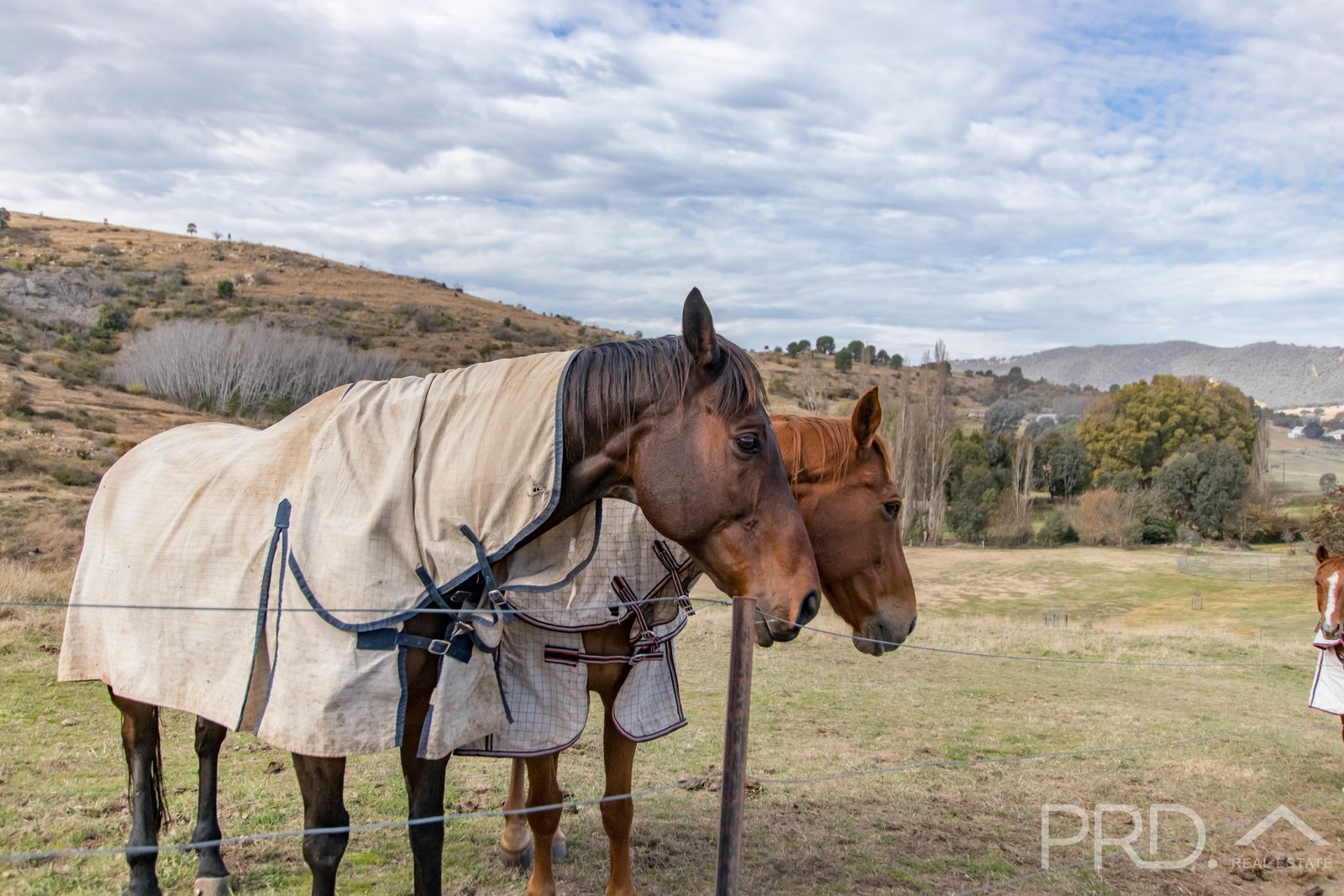 32 Quartz Street ADELONG 29