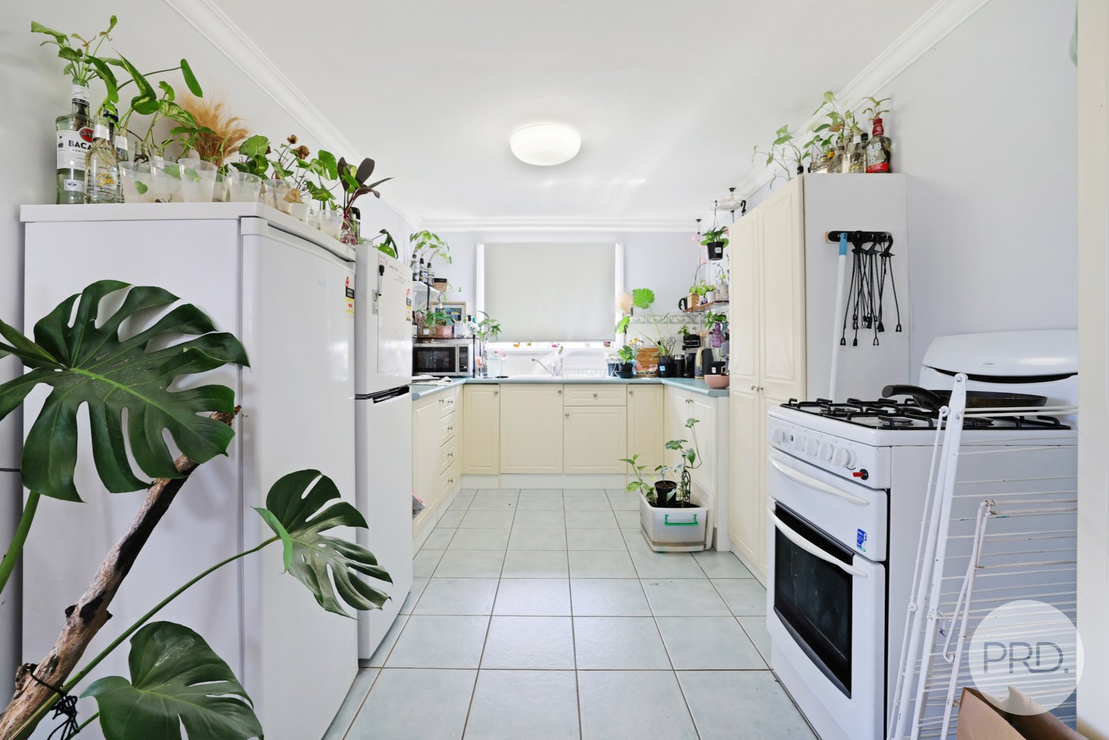 32 Robert Street TAMWORTH 17