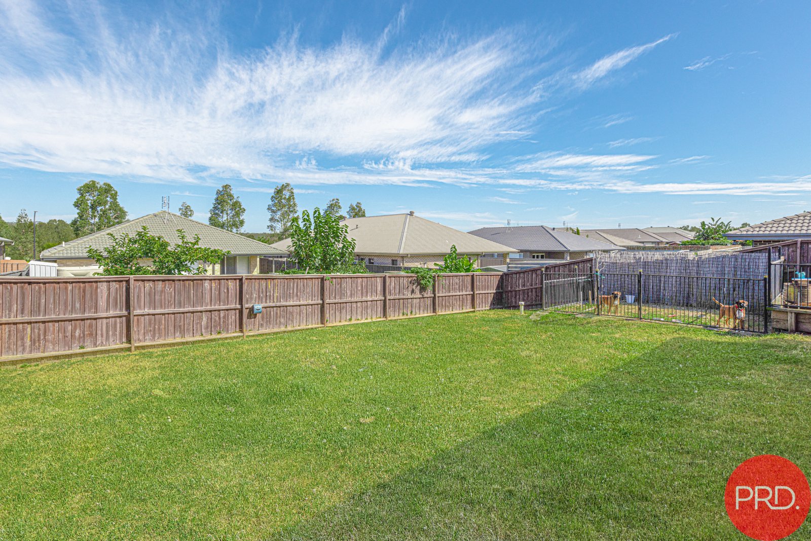 32 Tournament Street RUTHERFORD 18