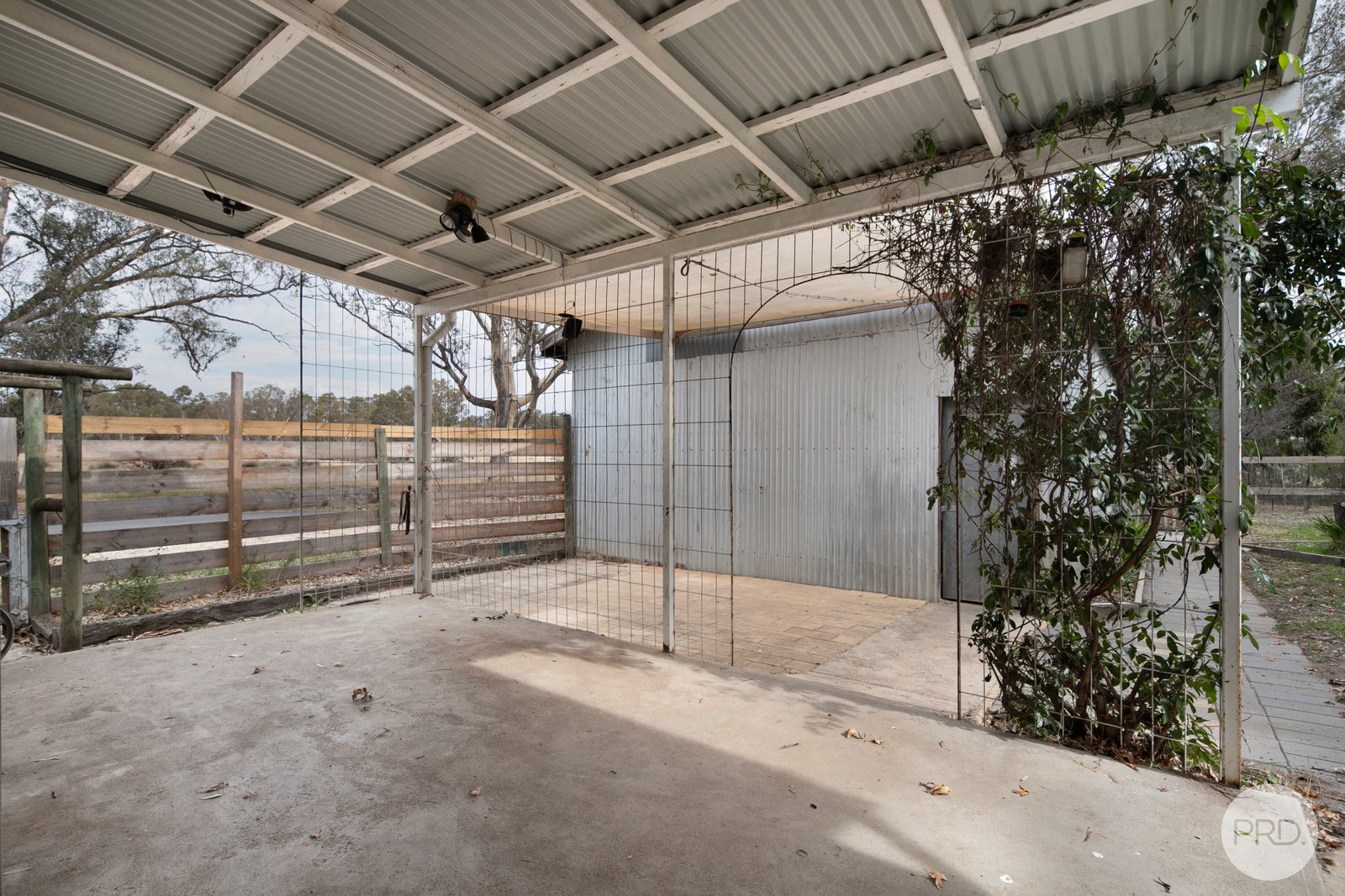 32 Waldy Street LEXTON 14