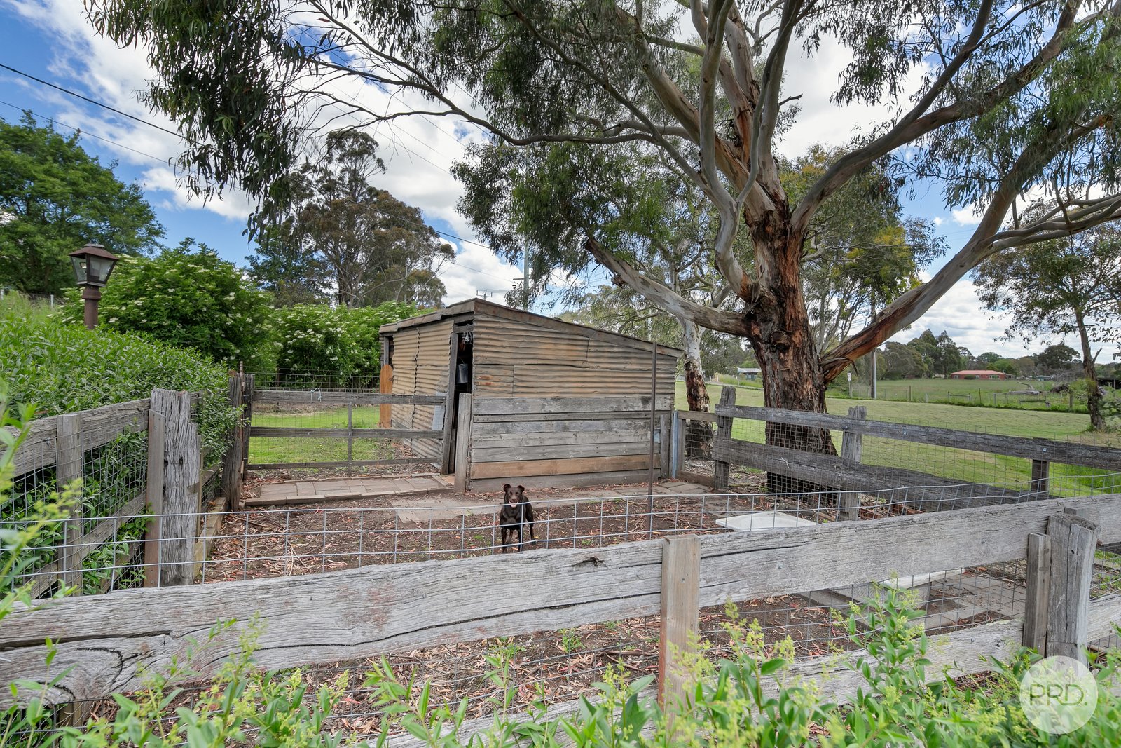 32 Warrenheip Road WARRENHEIP 19