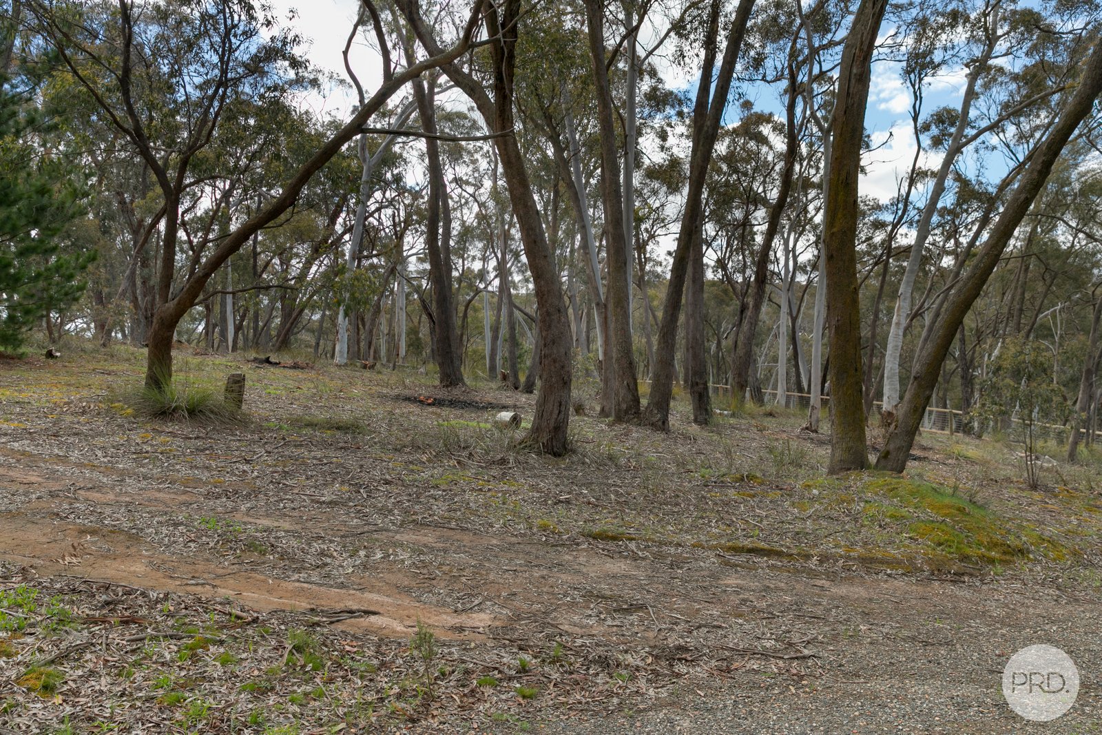 320 Ferrers Road DEREEL 7