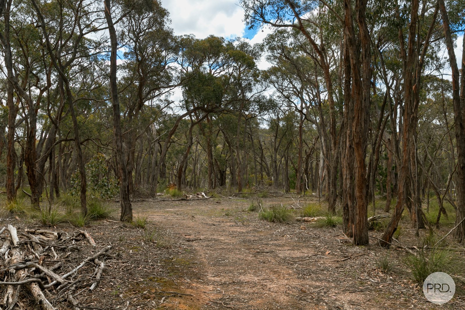 320 Ferrers Road DEREEL 8