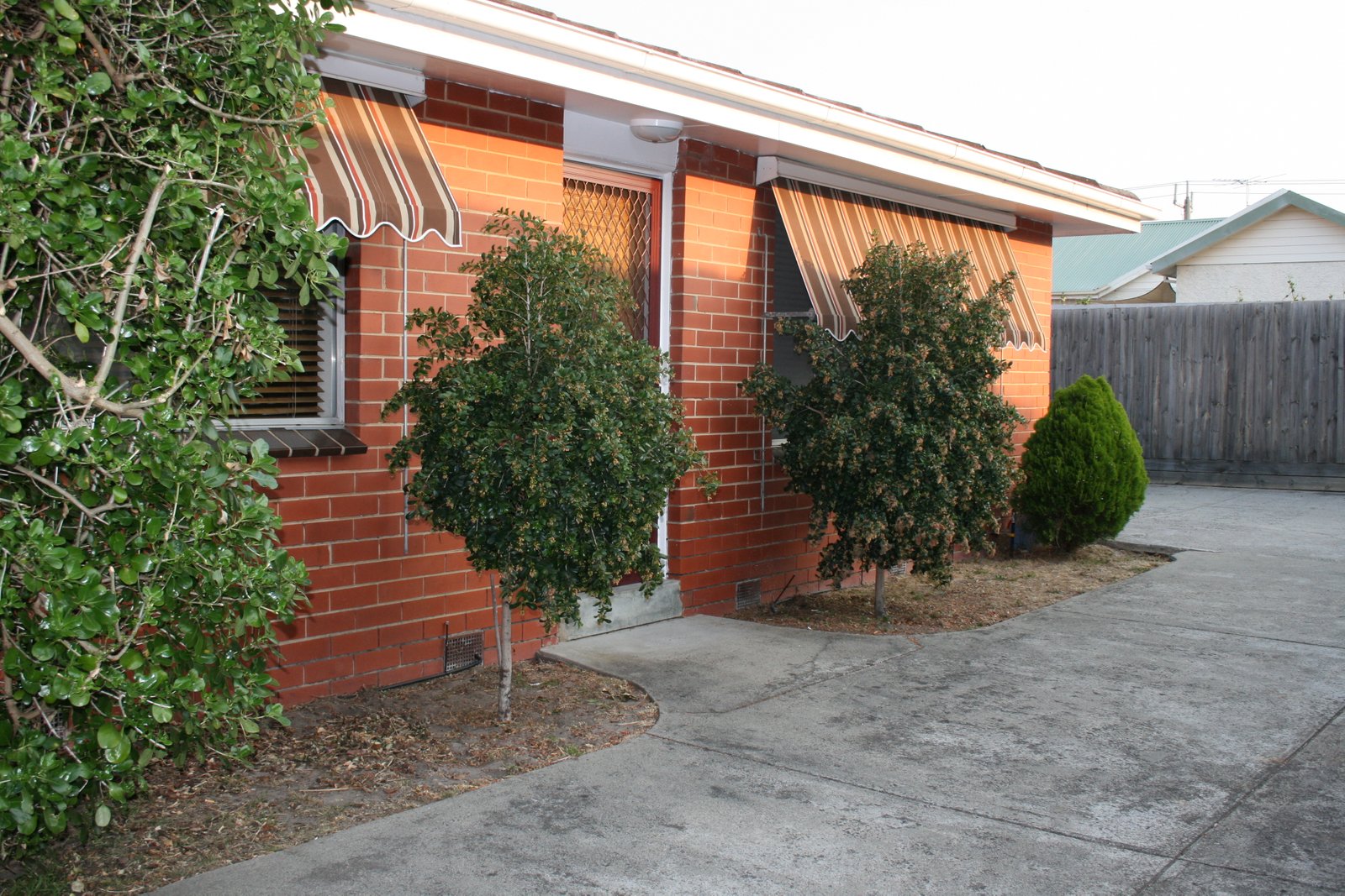 Gallery: 3/20 Pell Street